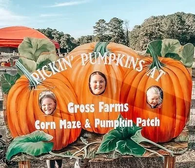 Pickin pumpkins fb.jpeg