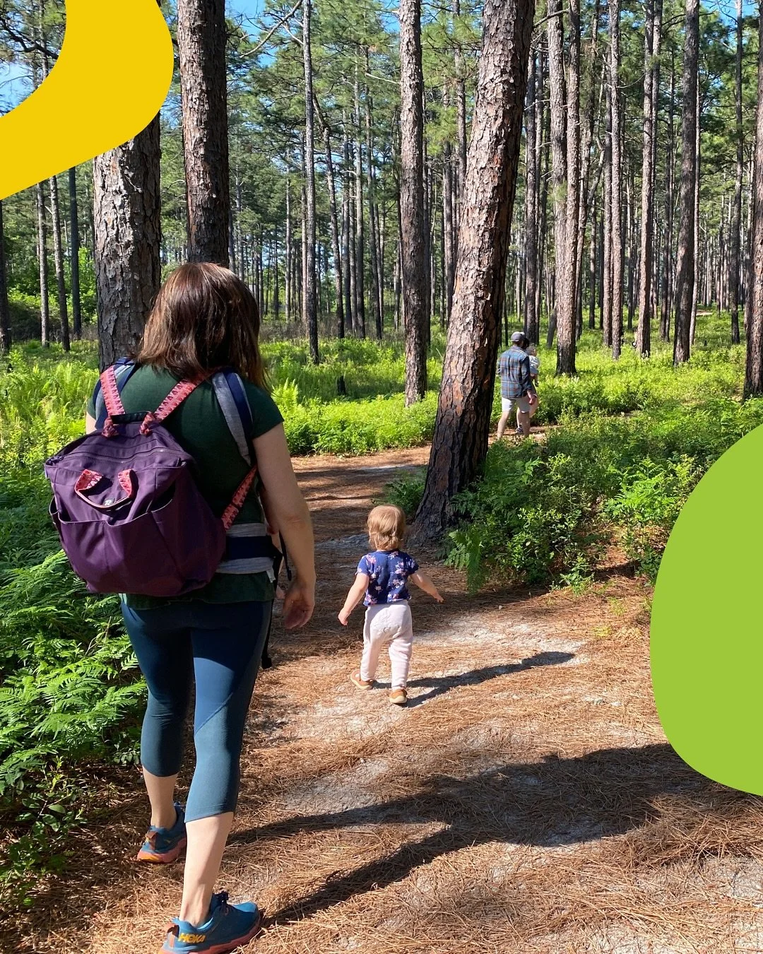 Cardinals, turtles, lizards&mdash;oh my! 🐢🌿
 Those are just a few of the critters we&rsquo;ve spotted along the trail during our Wednesday playdates at Weymouth.

Weekday Playdates with MoCo Mom are still going strong&mdash;and they&rsquo;re totall