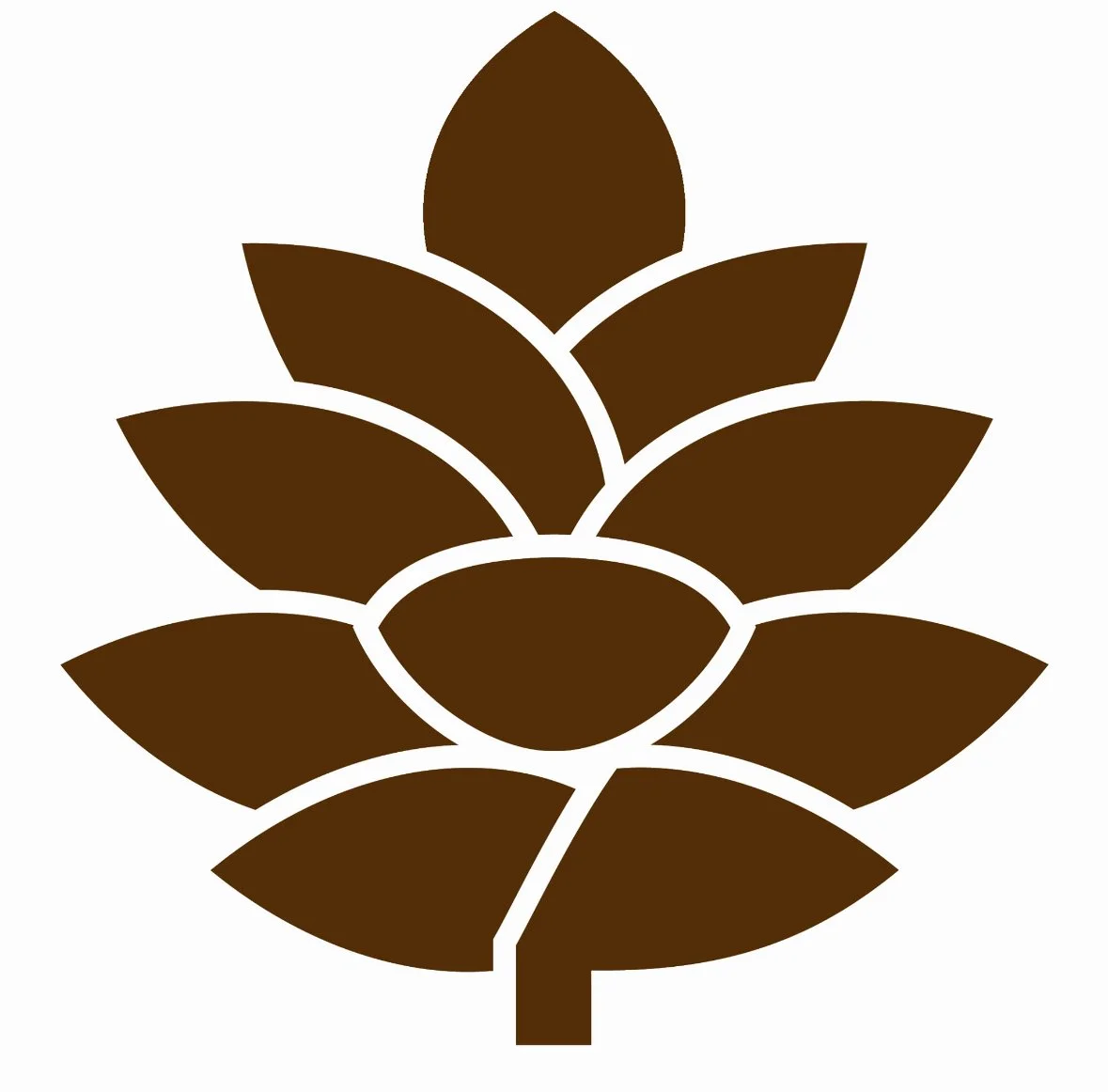 Flutterby Festival