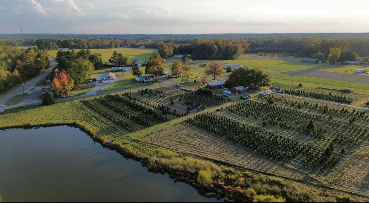 Opening Day @ Doby Christmas Tree Farm