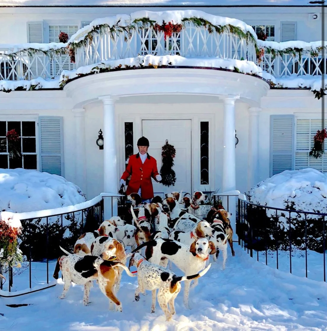 Hounds on the Grounds