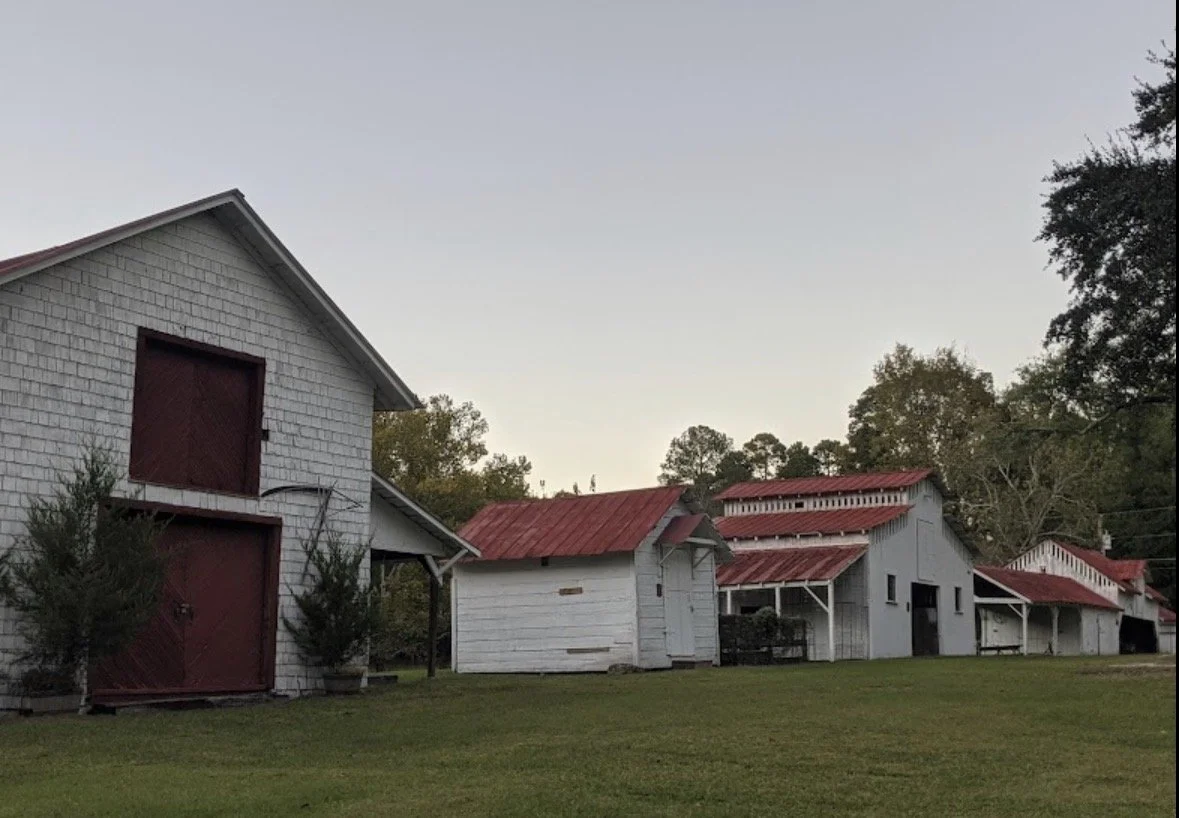 Easter Eggstravaganza