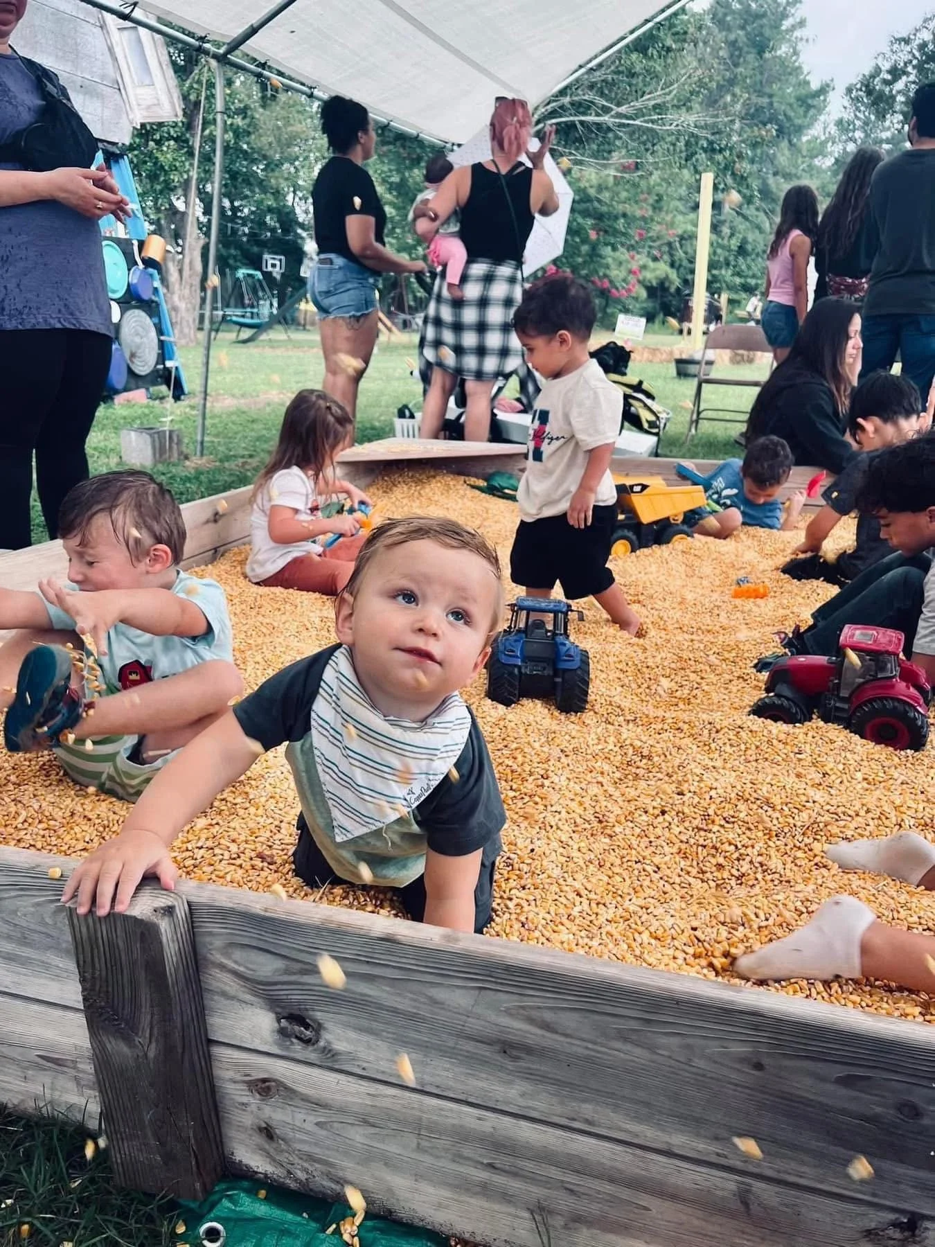 Farm Days @ Pint Sized Pasture