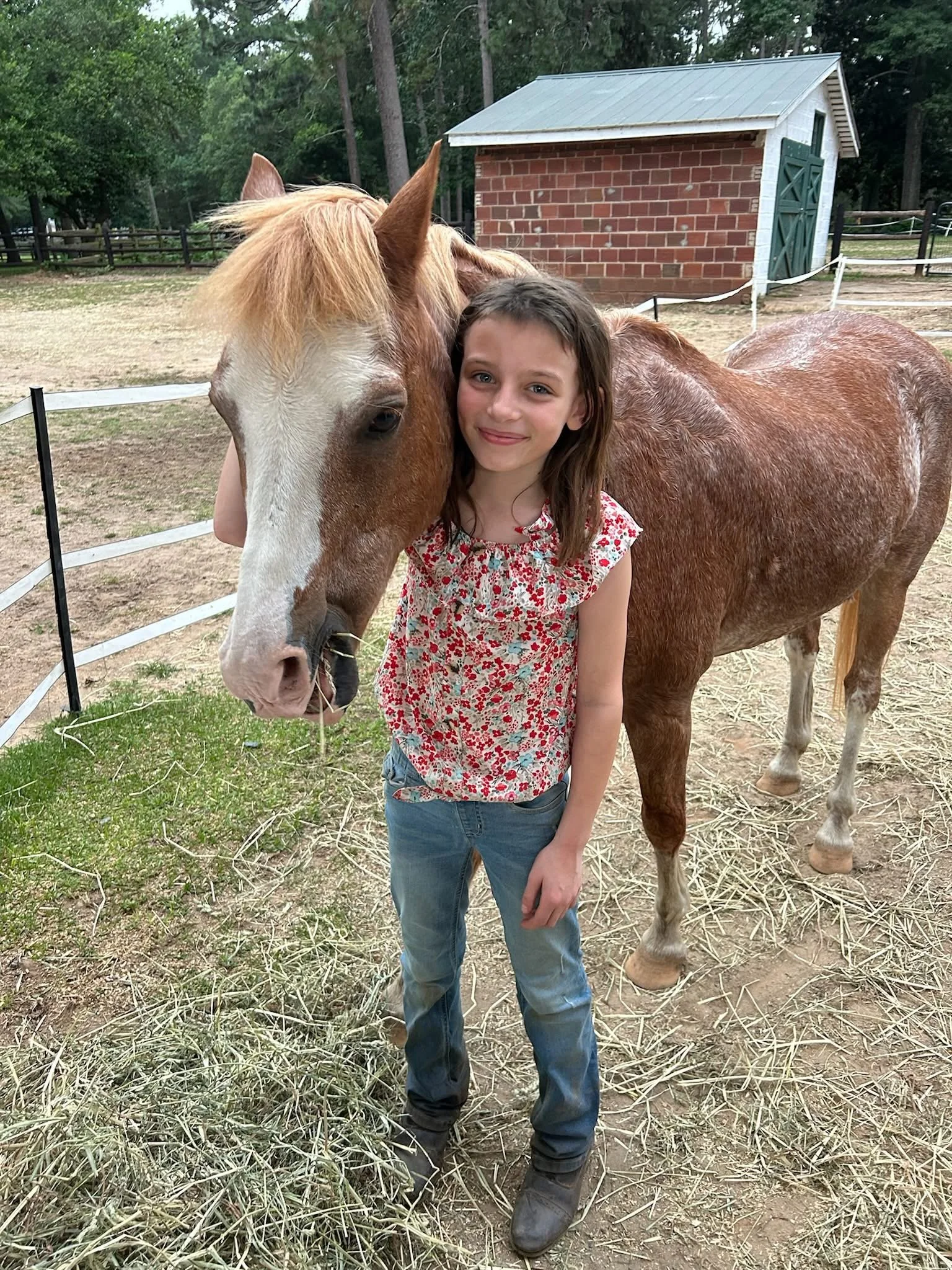 Weymouth Presents: Hug-A-Horse