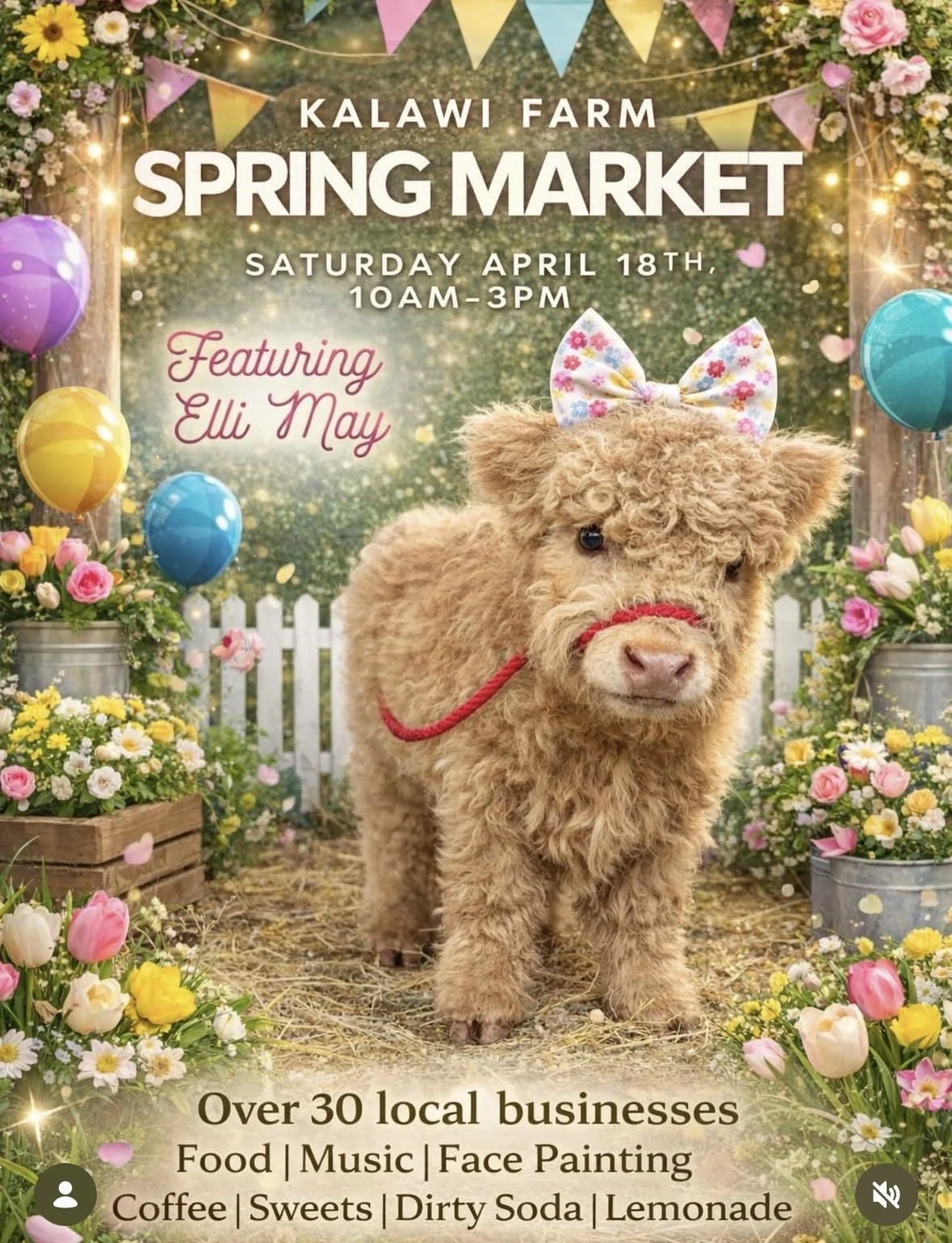 Kalawi Spring Market