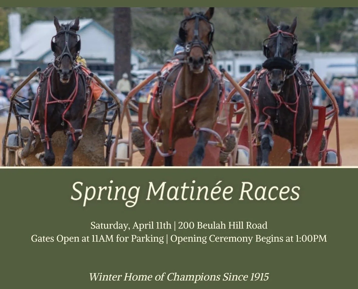 Spring Matinee Races