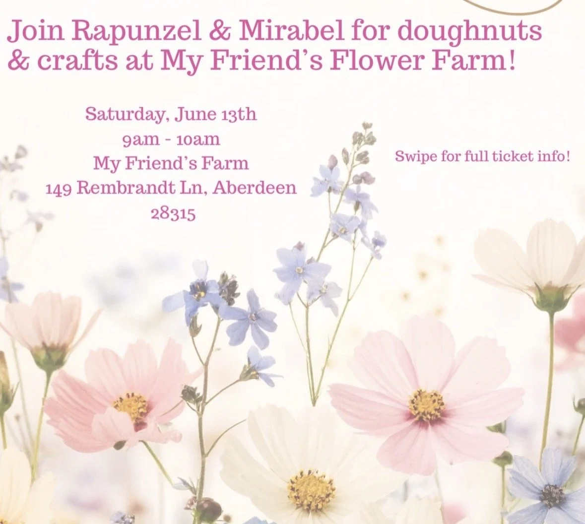 Damsels and Doughnuts