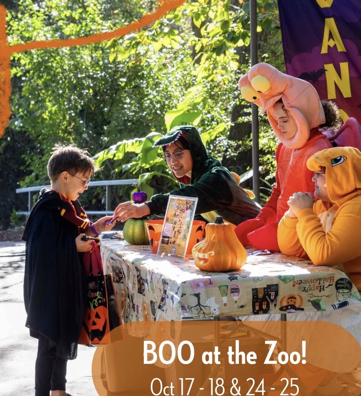 Boo at the Zoo