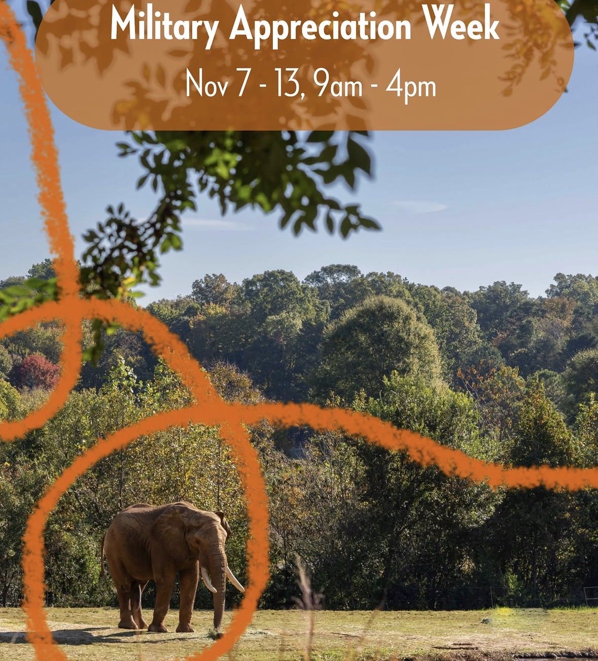 Military Appreciation Week at the Zoo