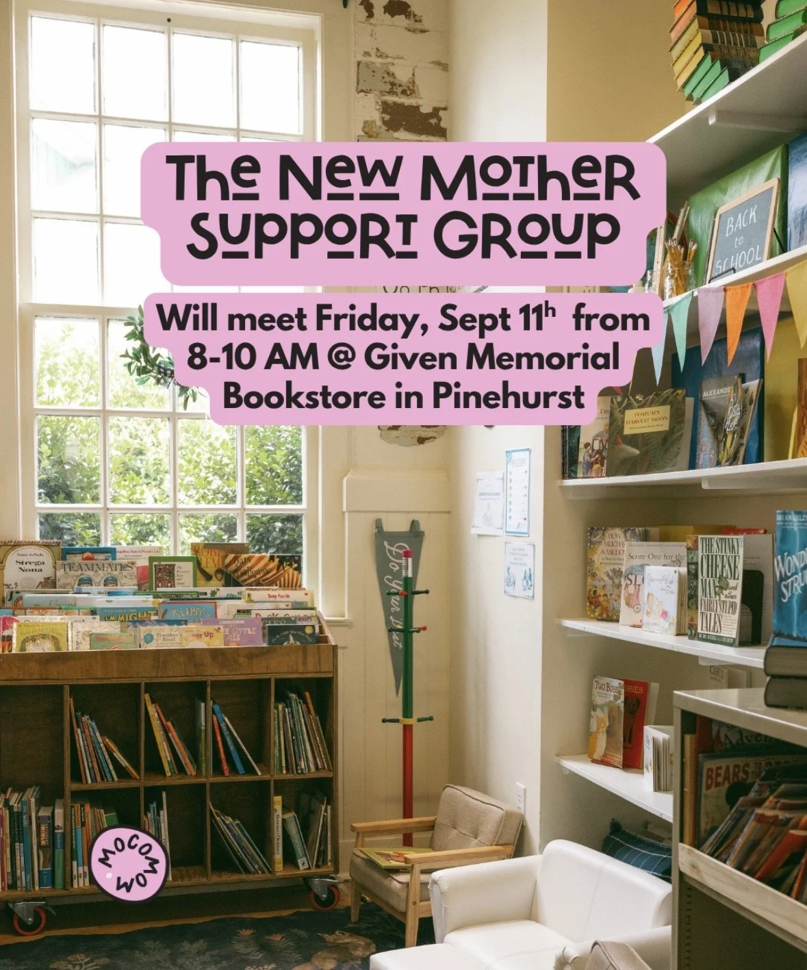 New Mother Support Group with MoCo Mom