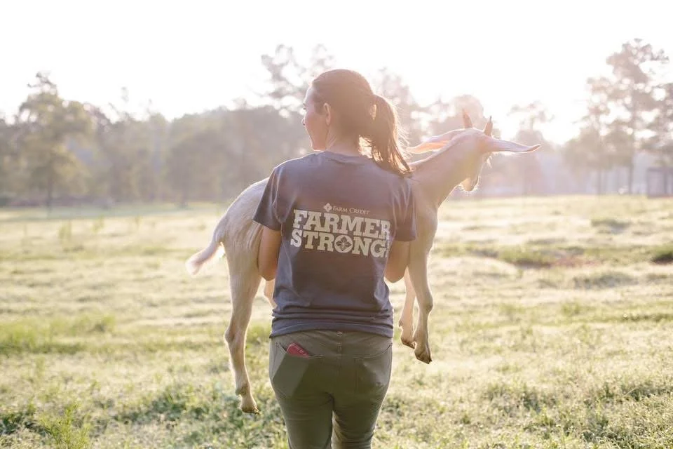 Family Farm Day with Santa @ The Pint Sized Pasture