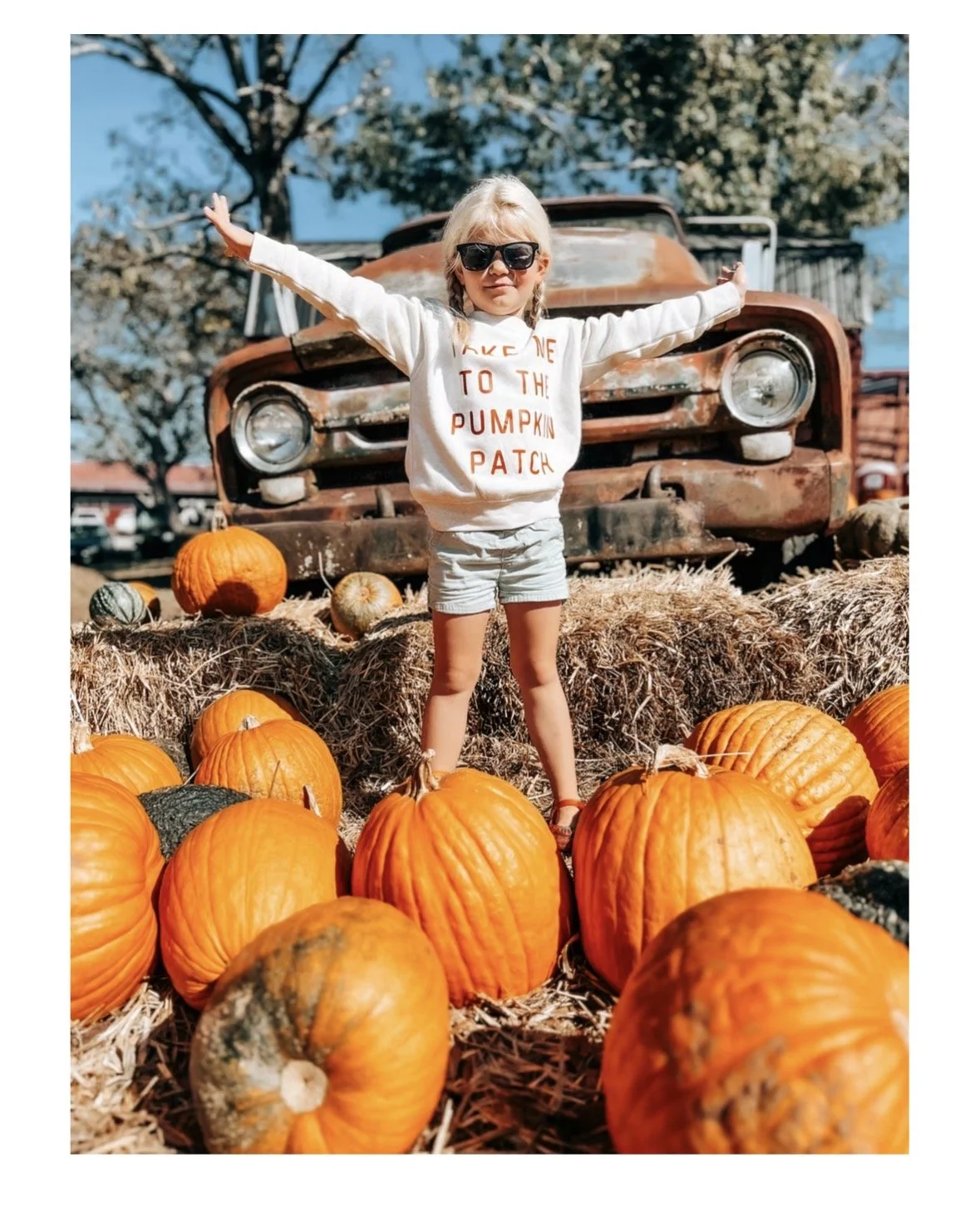 Gross Farms Fall at the Farm