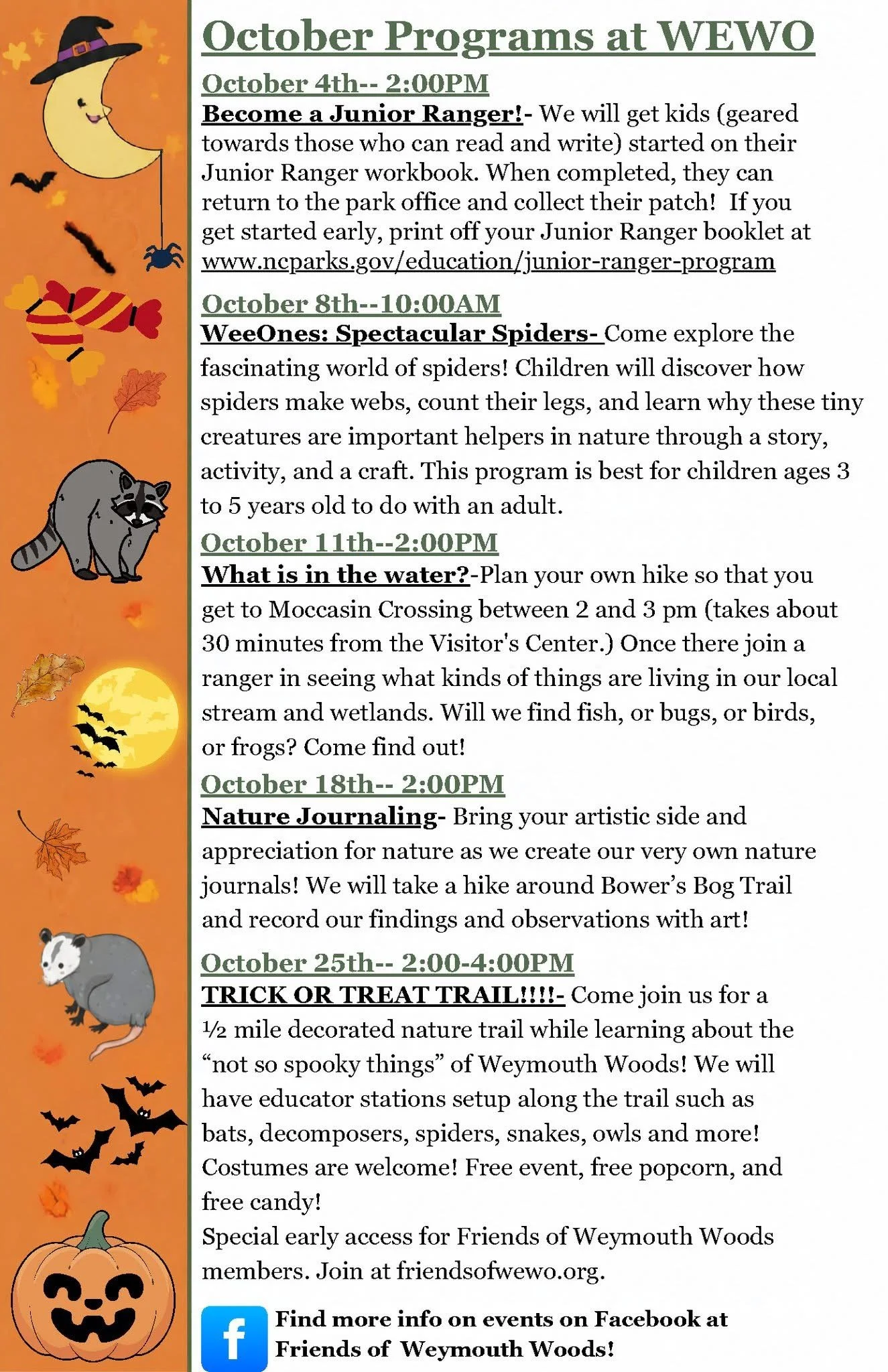 Become a Junior Ranger 