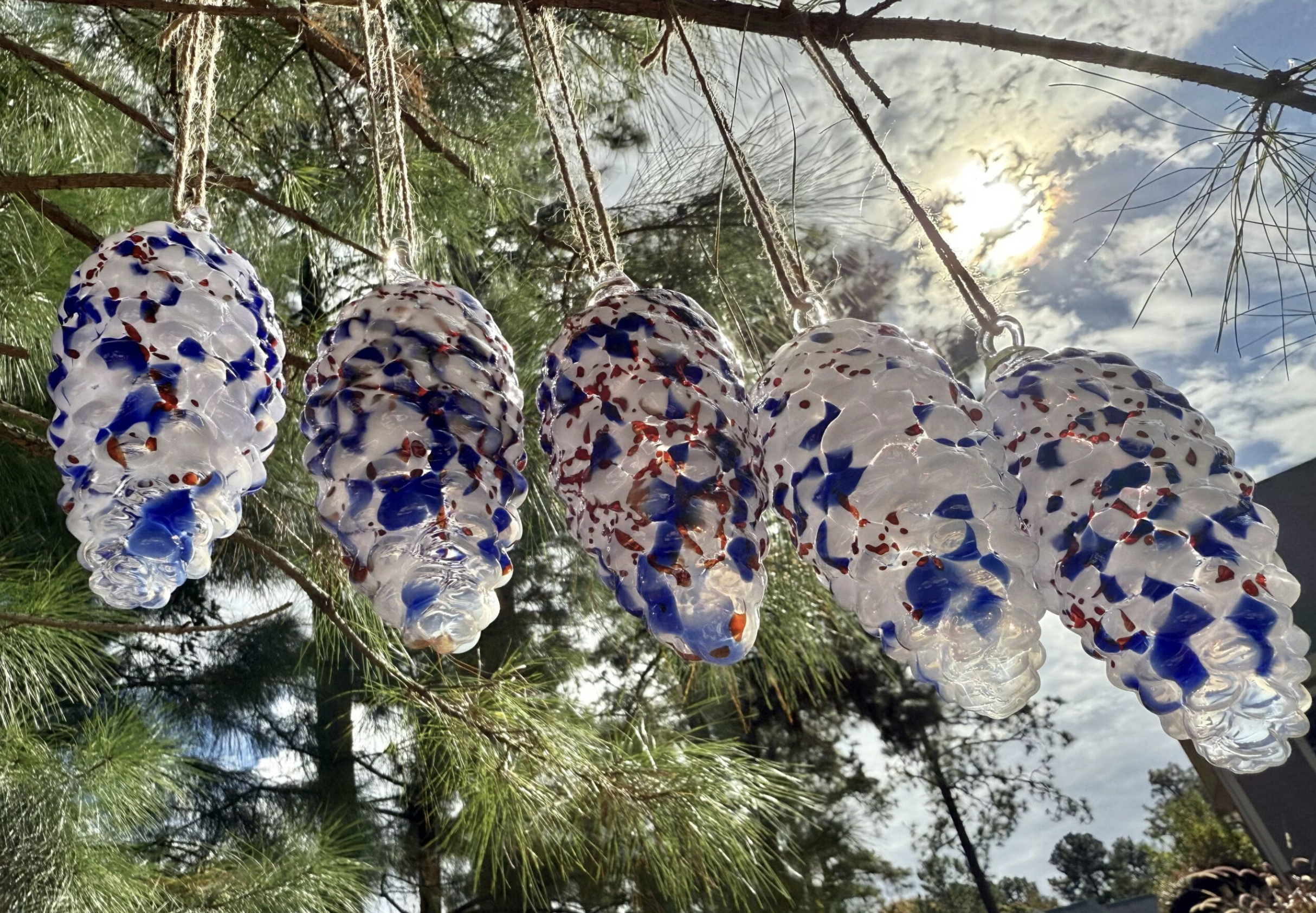 Pinecone Pathways Southern Pines Pinehurst NC