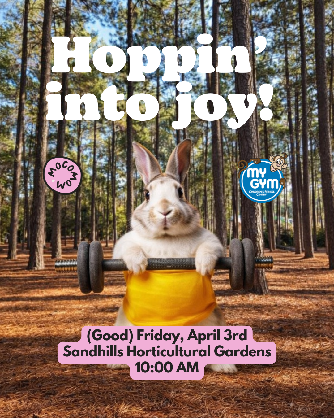 Little Bunnies: Hop & Bop