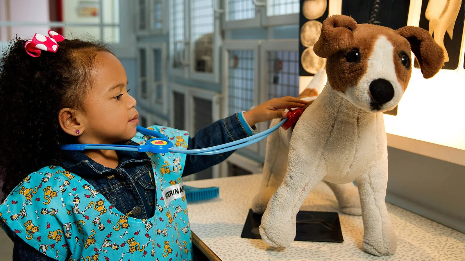 Discovery Place Rockinham Childrens Museum and Indoor Play Place