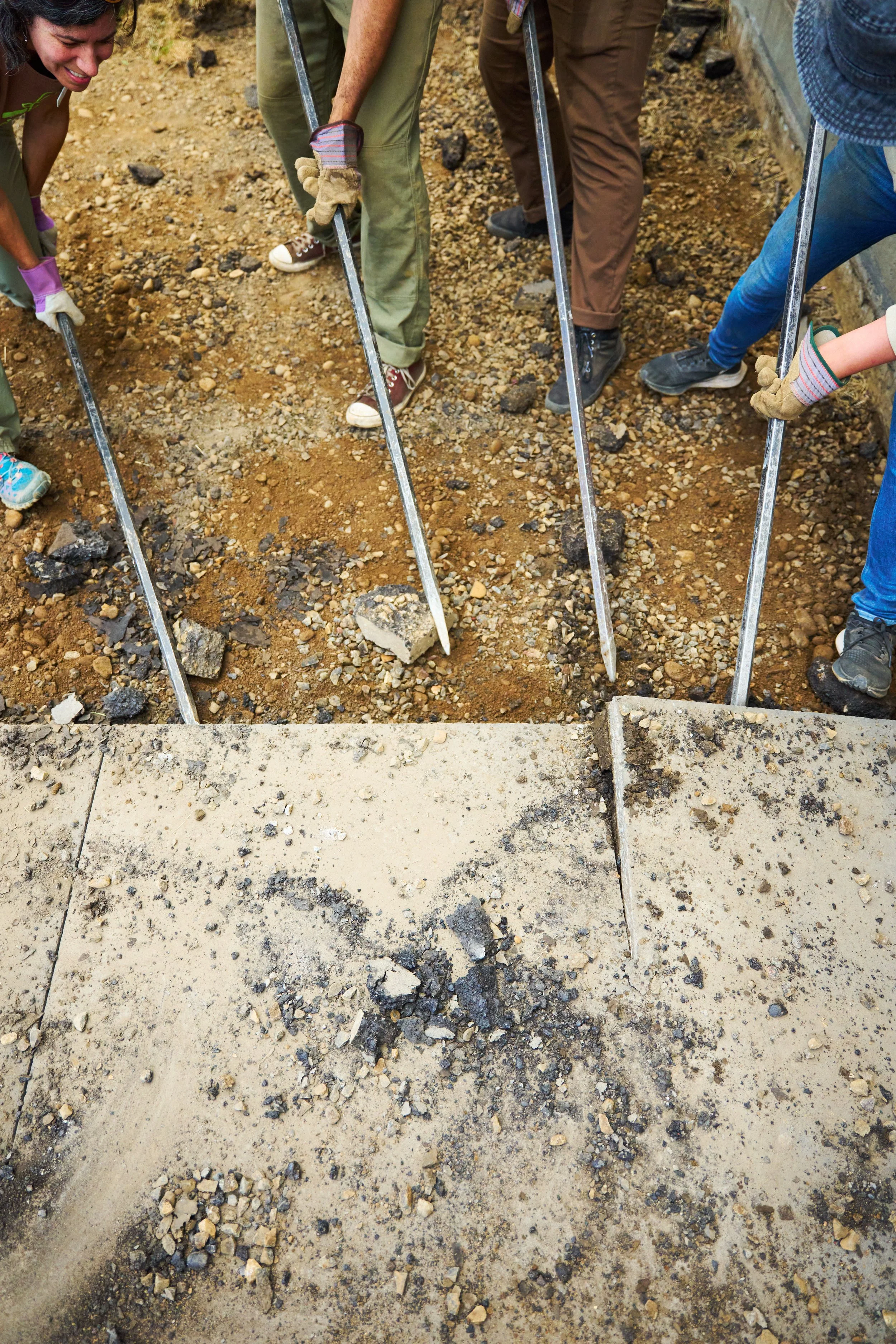 Services 2 — Depave