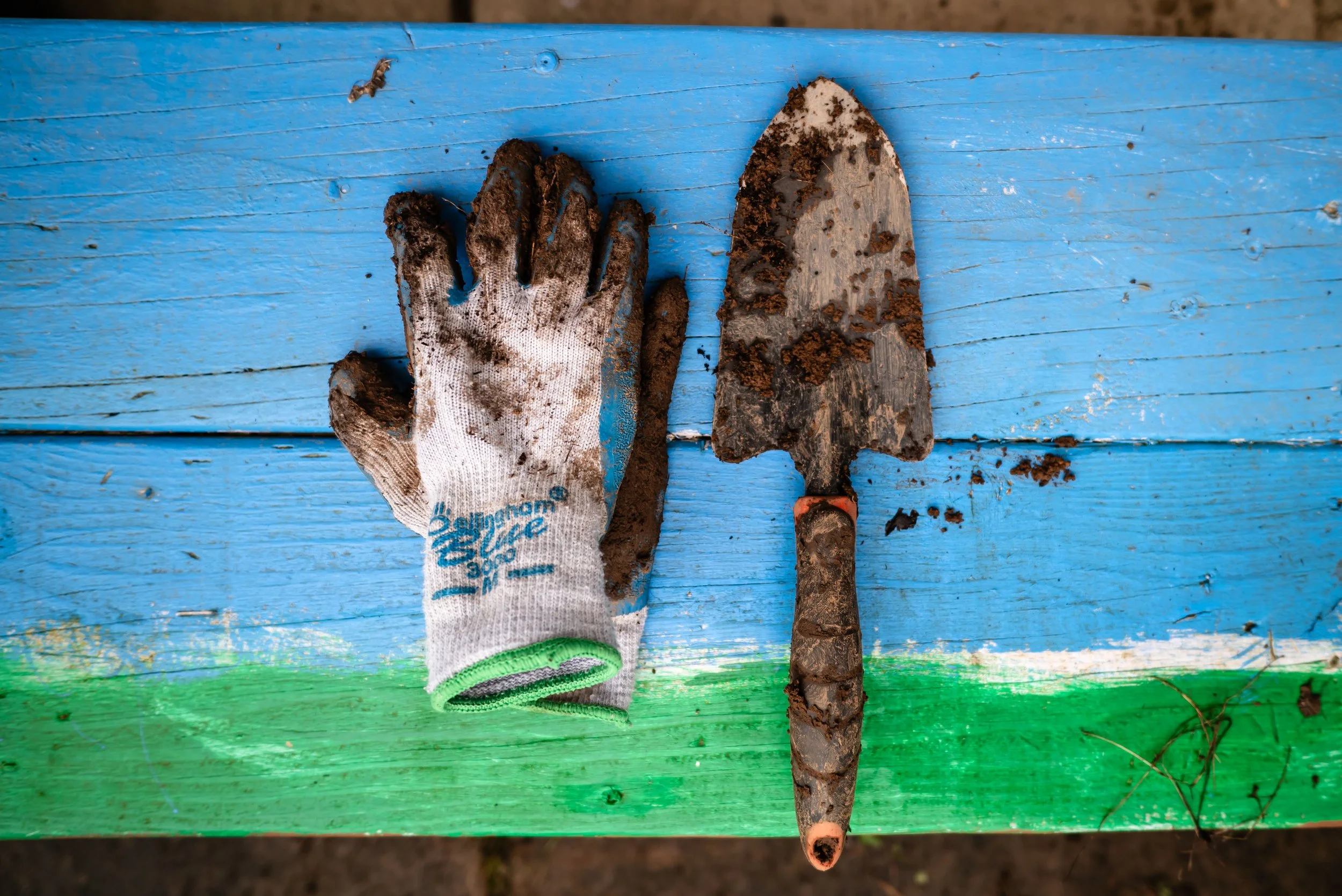 Planting Event at Vestal Elementary School