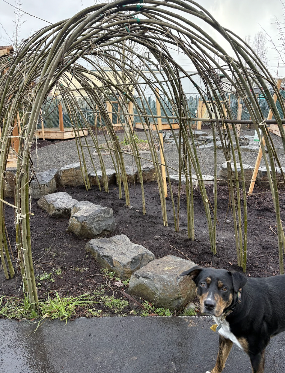 Willow tunnel installed at Vestal Elementary School