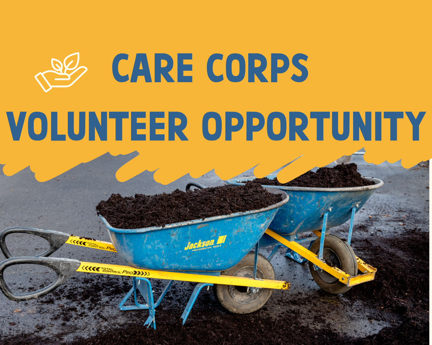 Community Care: Morning Star MBC