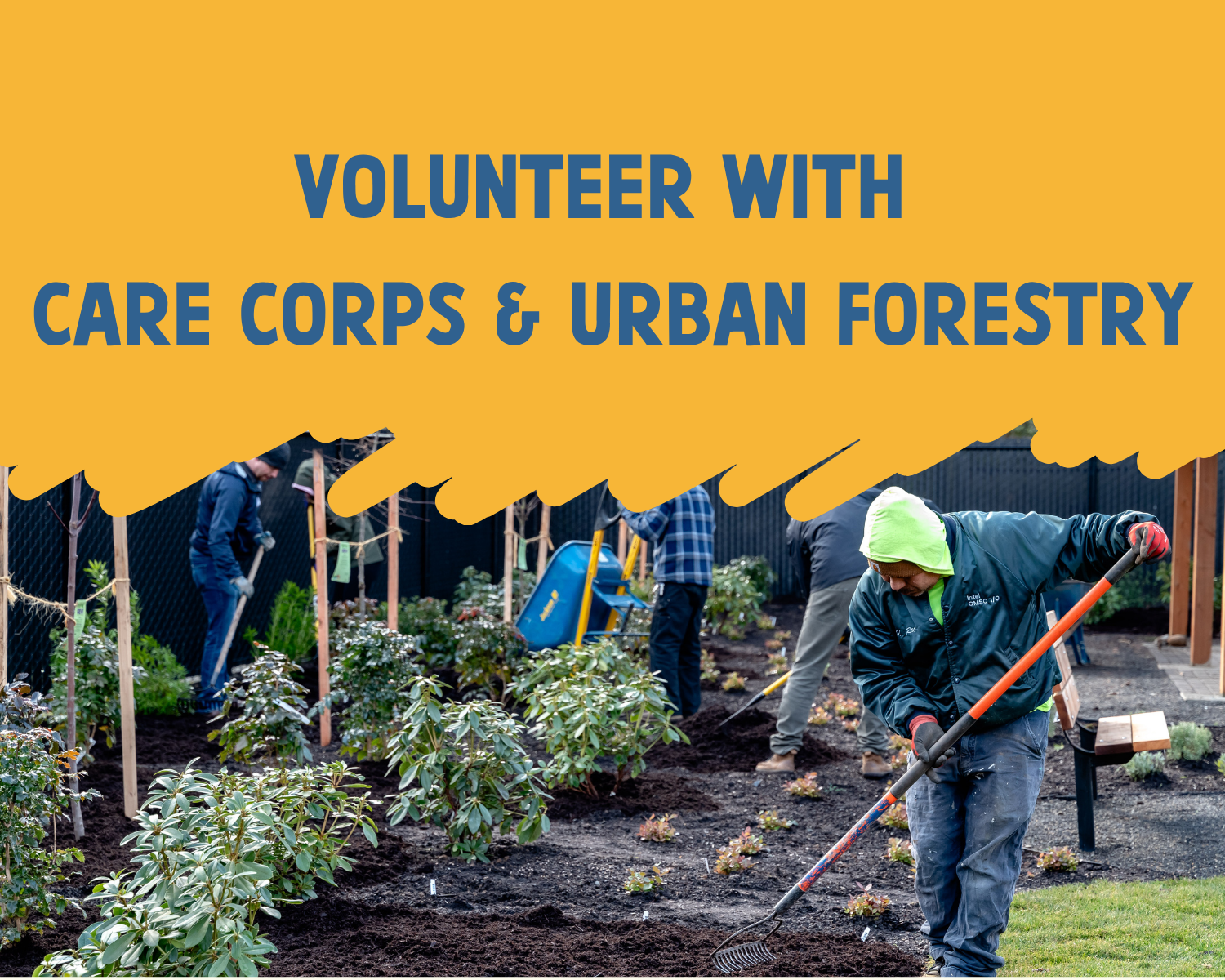 Care Corps &amp; Urban Forestry:  Morning Star MBC