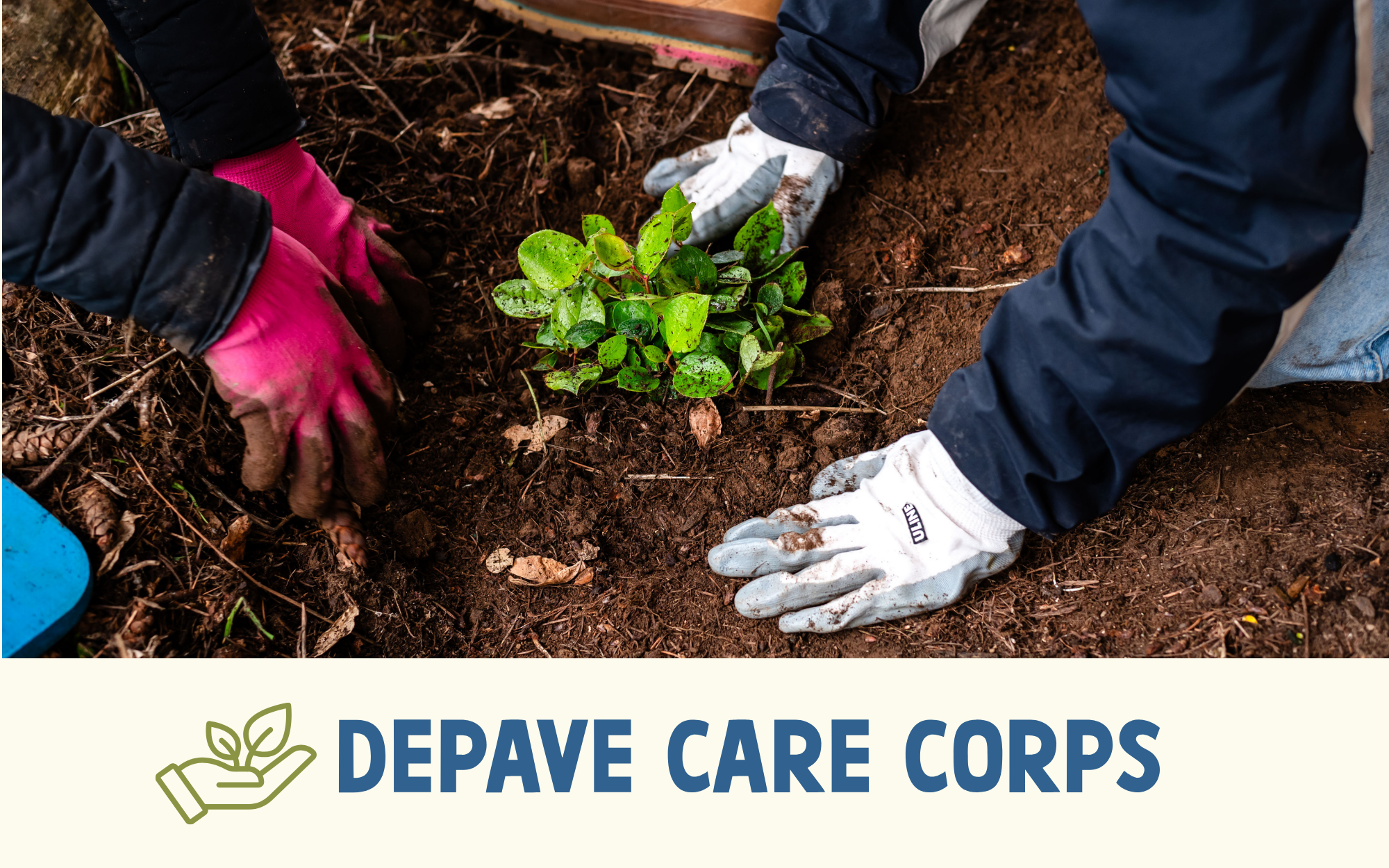 Planting Event - James John Elementary School