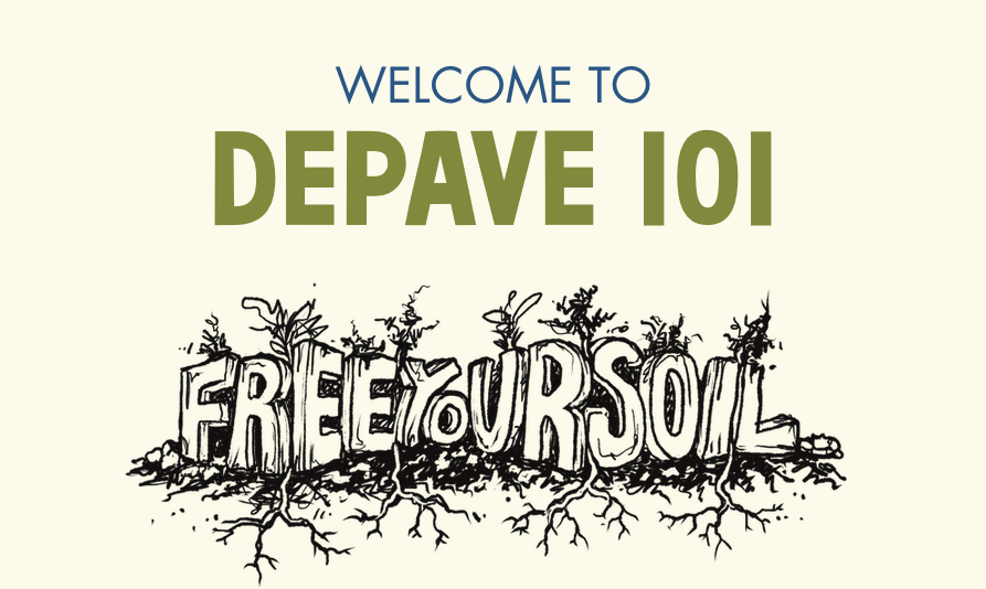 Depave 101 Webinar 