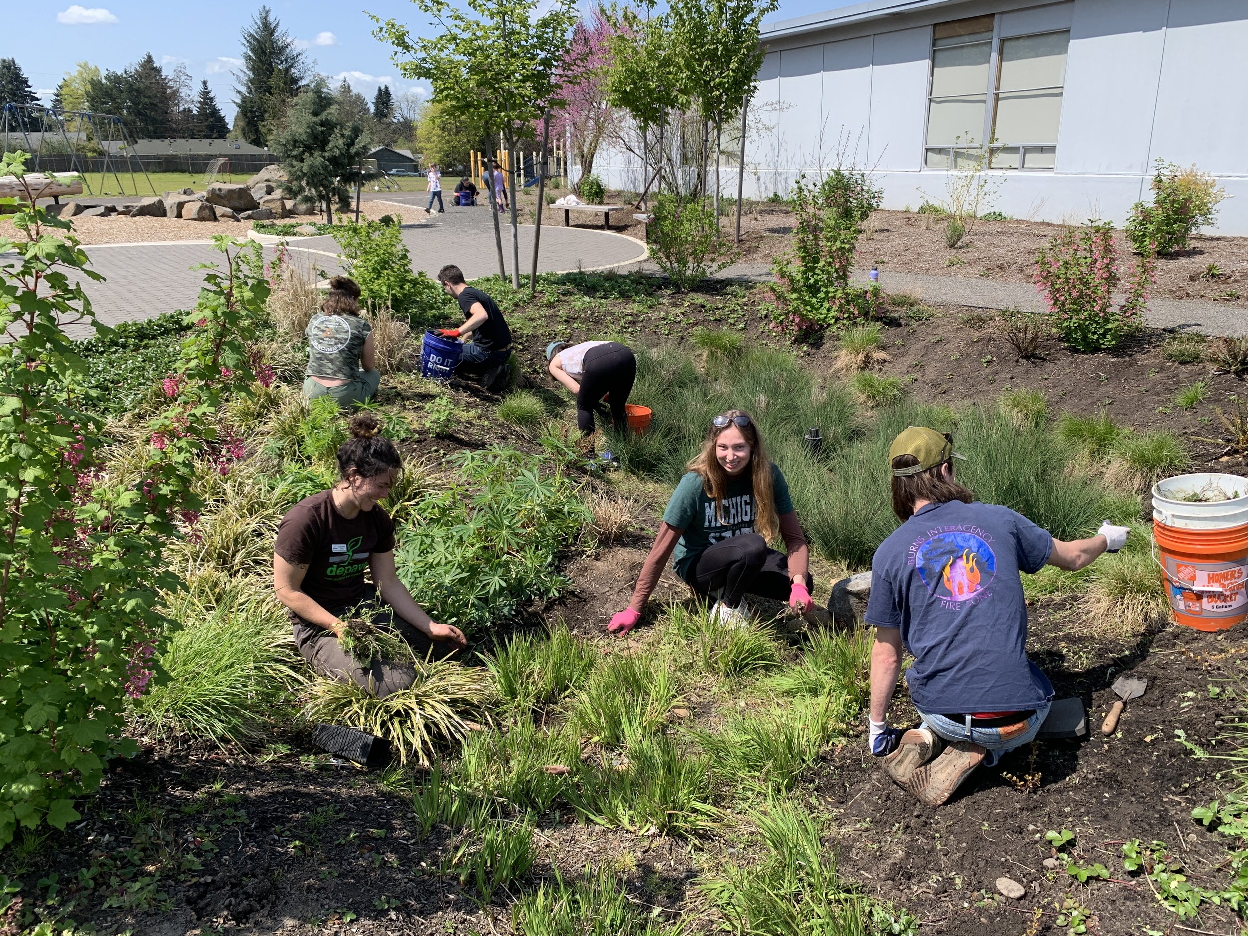 volunteer — Depave