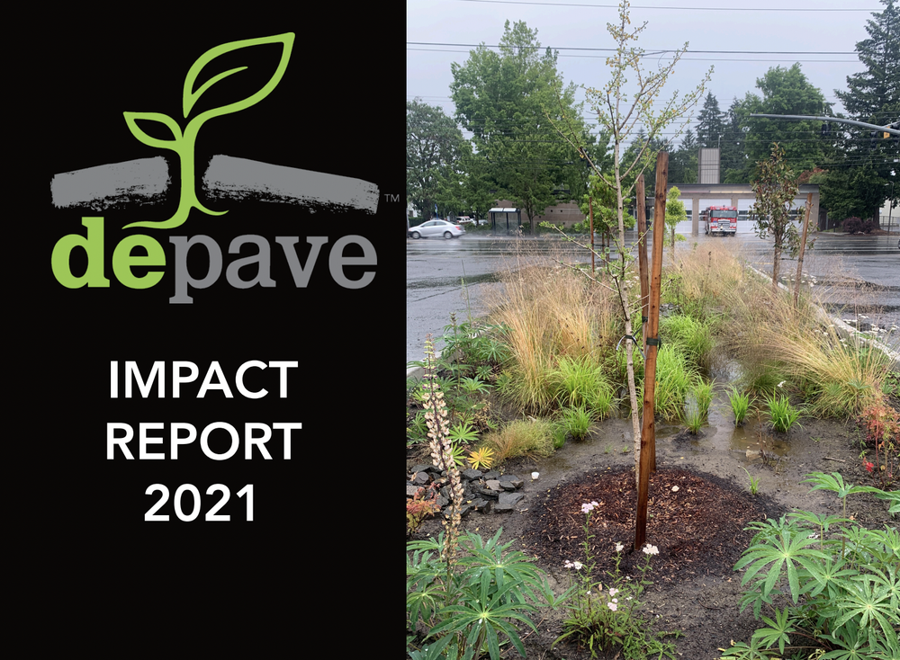 our impact — Depave