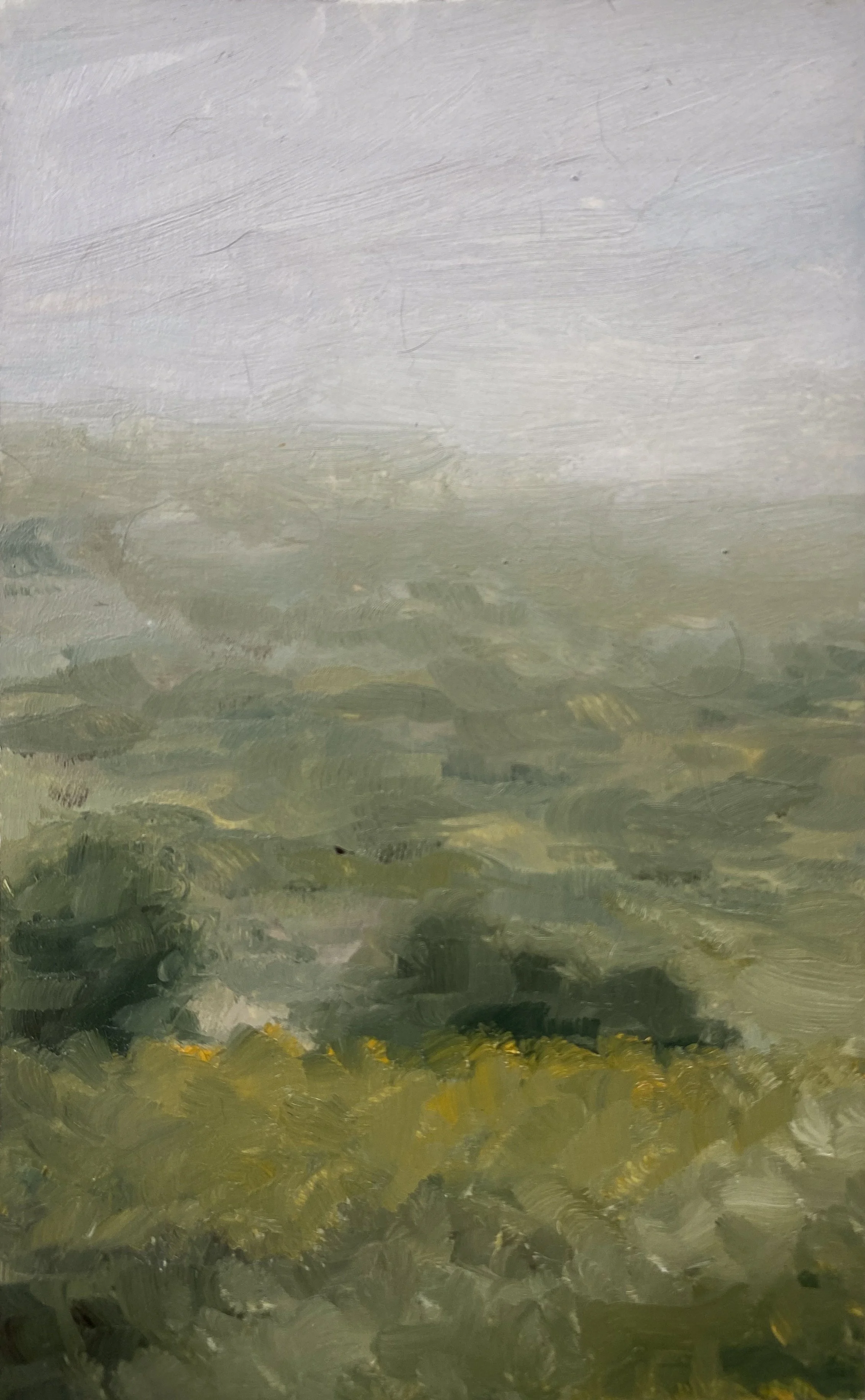 OTW Study #2, 7in x 4in, Oil on Paper