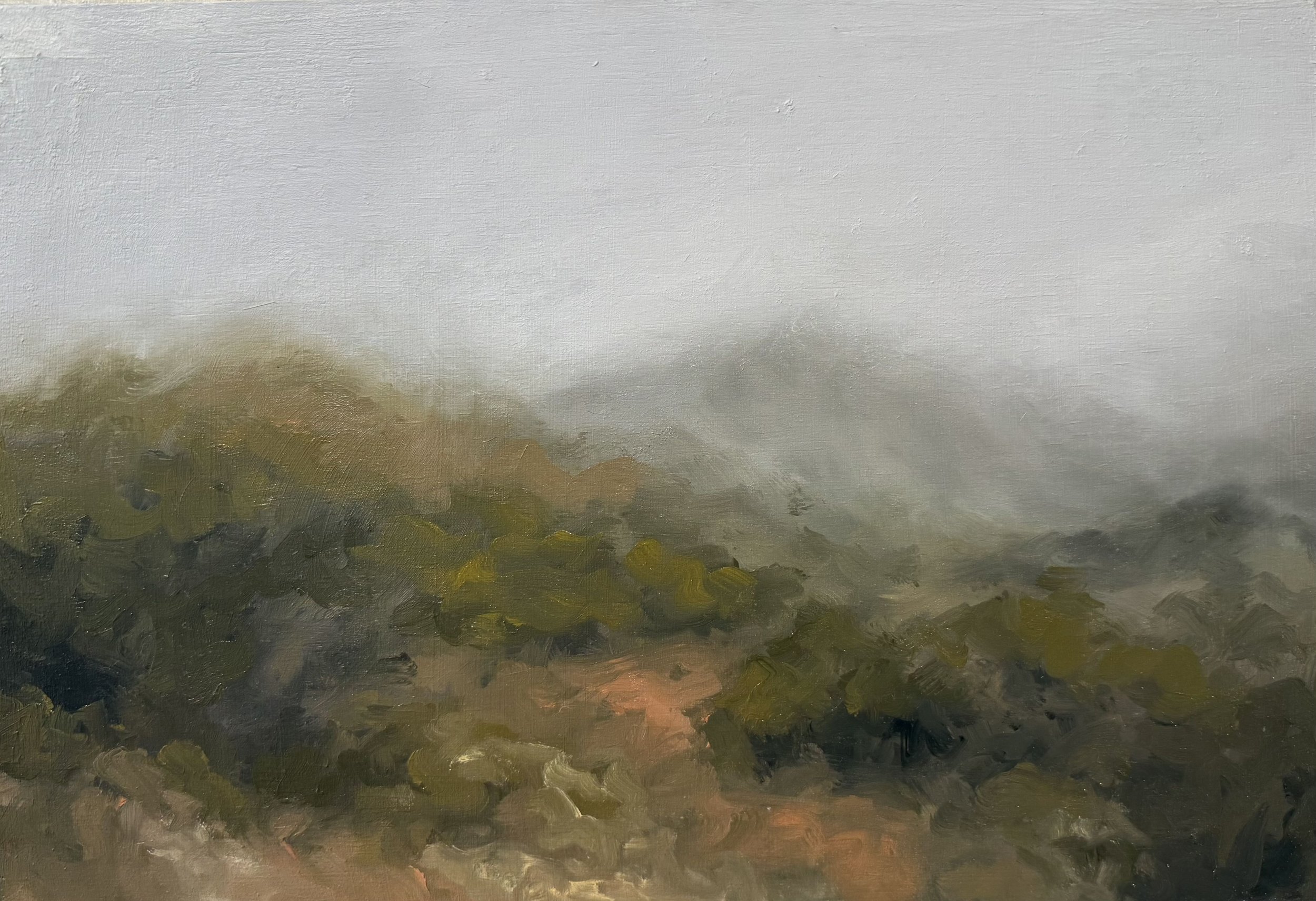 "Milkweed Meadow" Oil on Panel, 15in x 10in