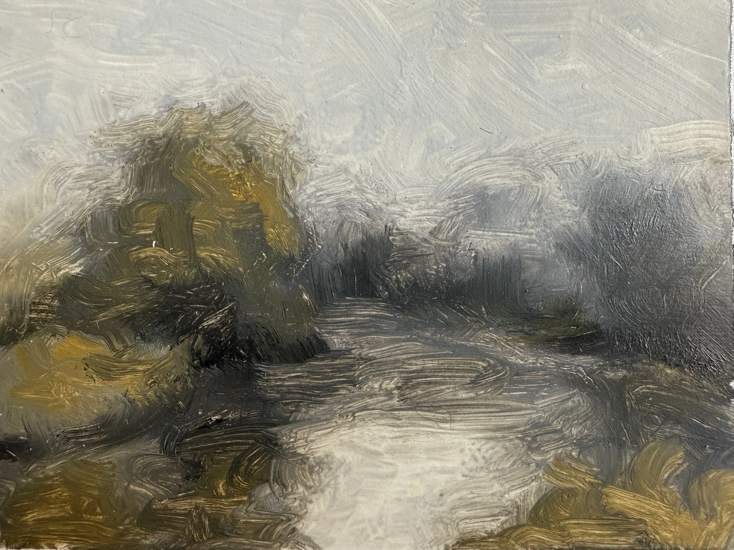 Scruffle Study #1, 5in x 4in, Oil on Paper
