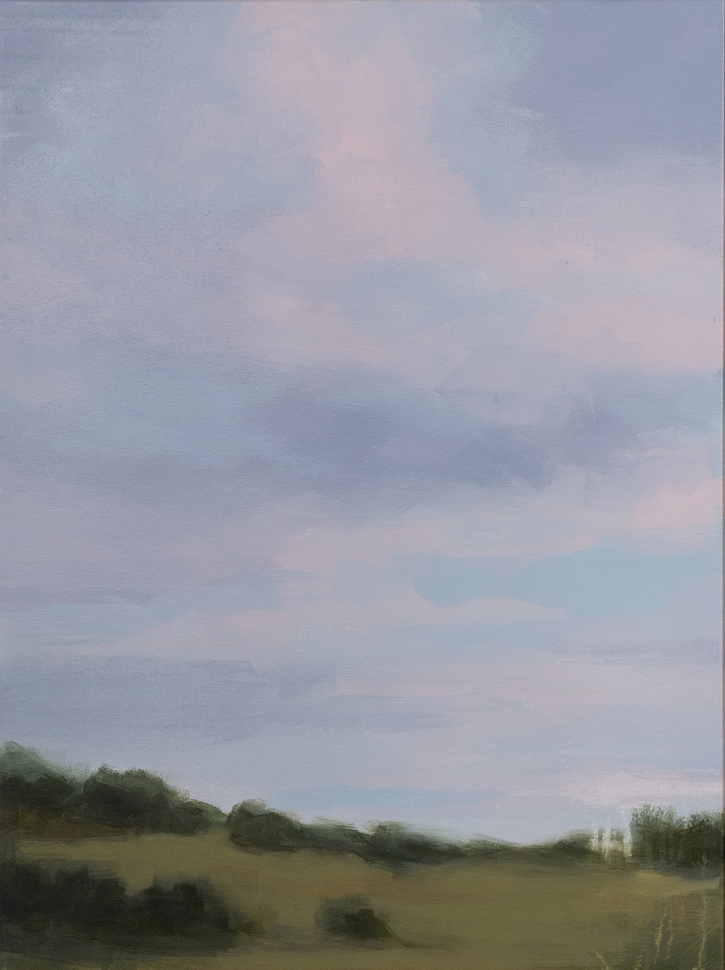 Pink Morning, 25.5in x 19.5 in, Oil on Canvas @ Grazing Ground in Elk Creek, VA - $350
