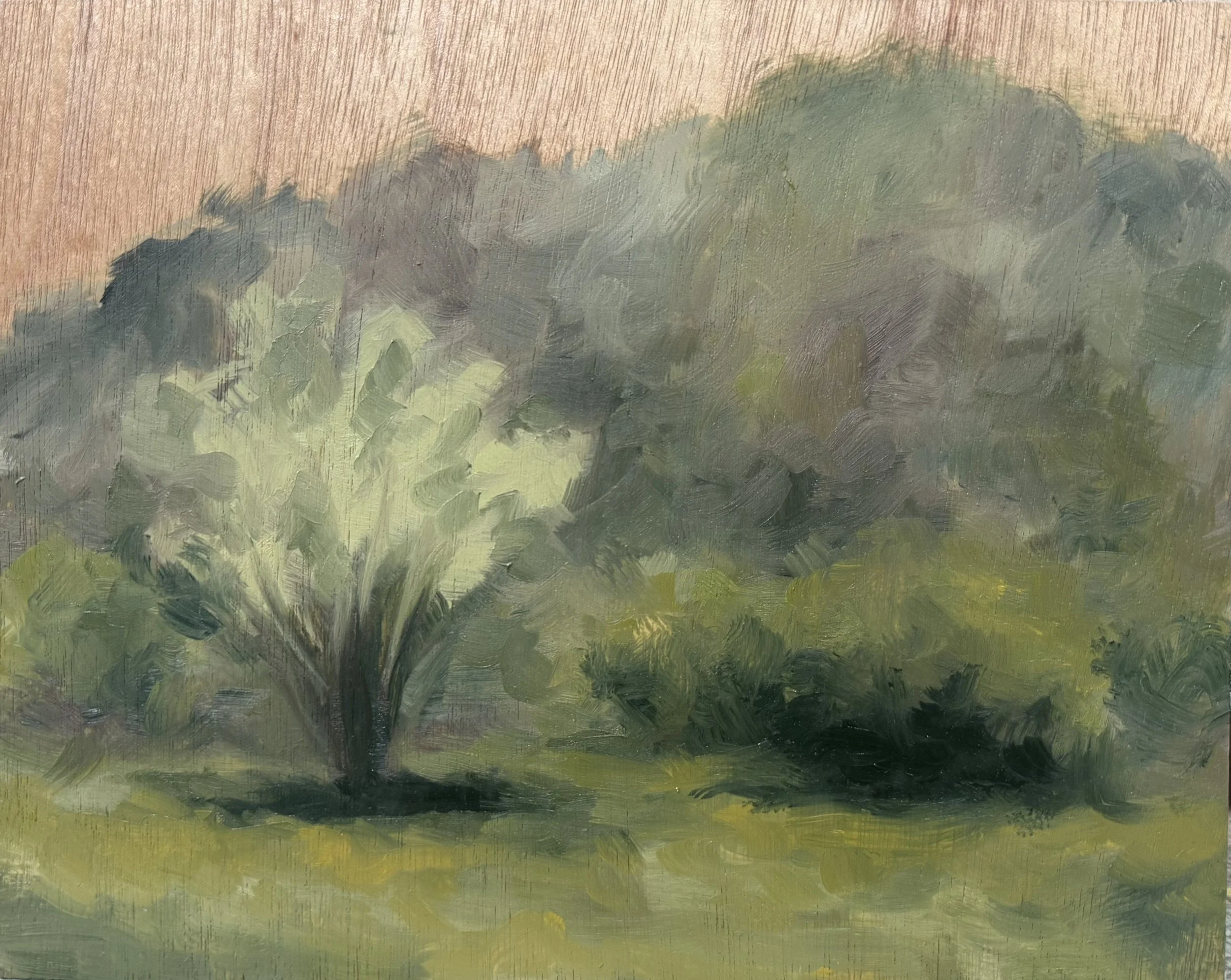 Sunburn Study #1, 10in x 8in, Oil on Panel