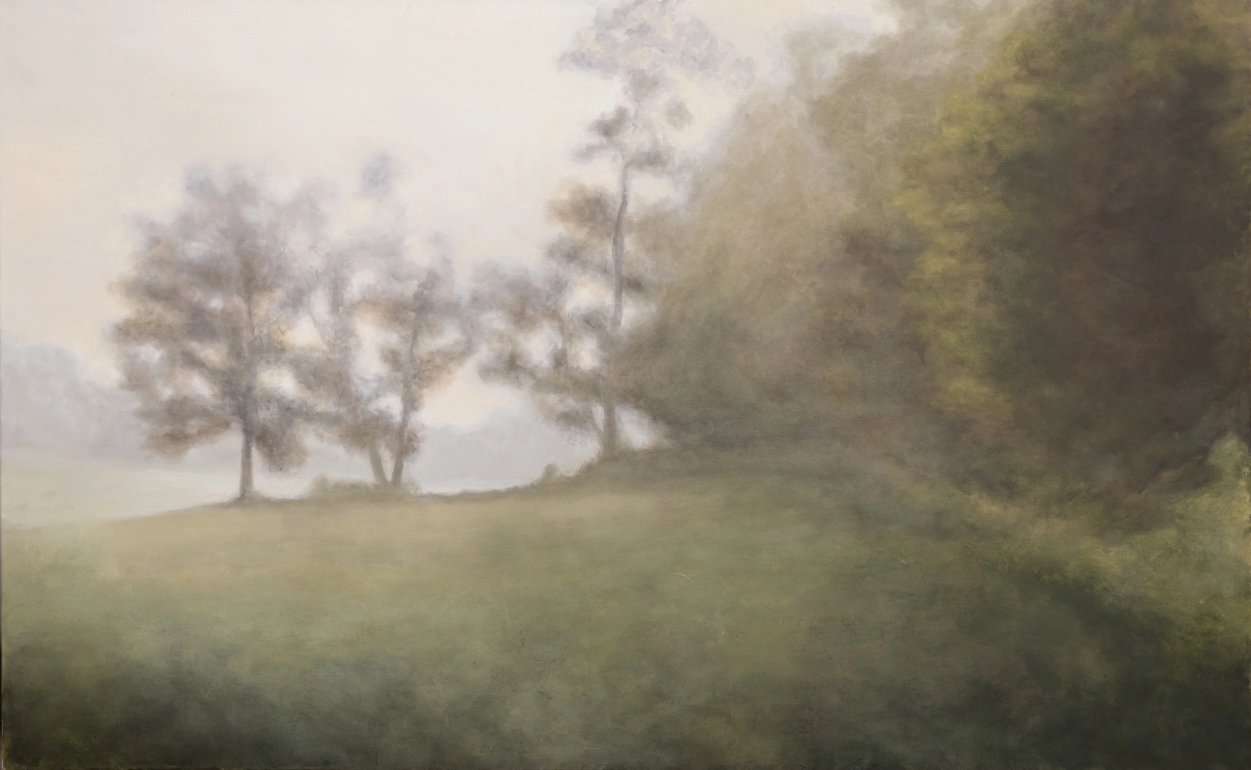 Treeline, 30in x 48in, Oil on Canvas