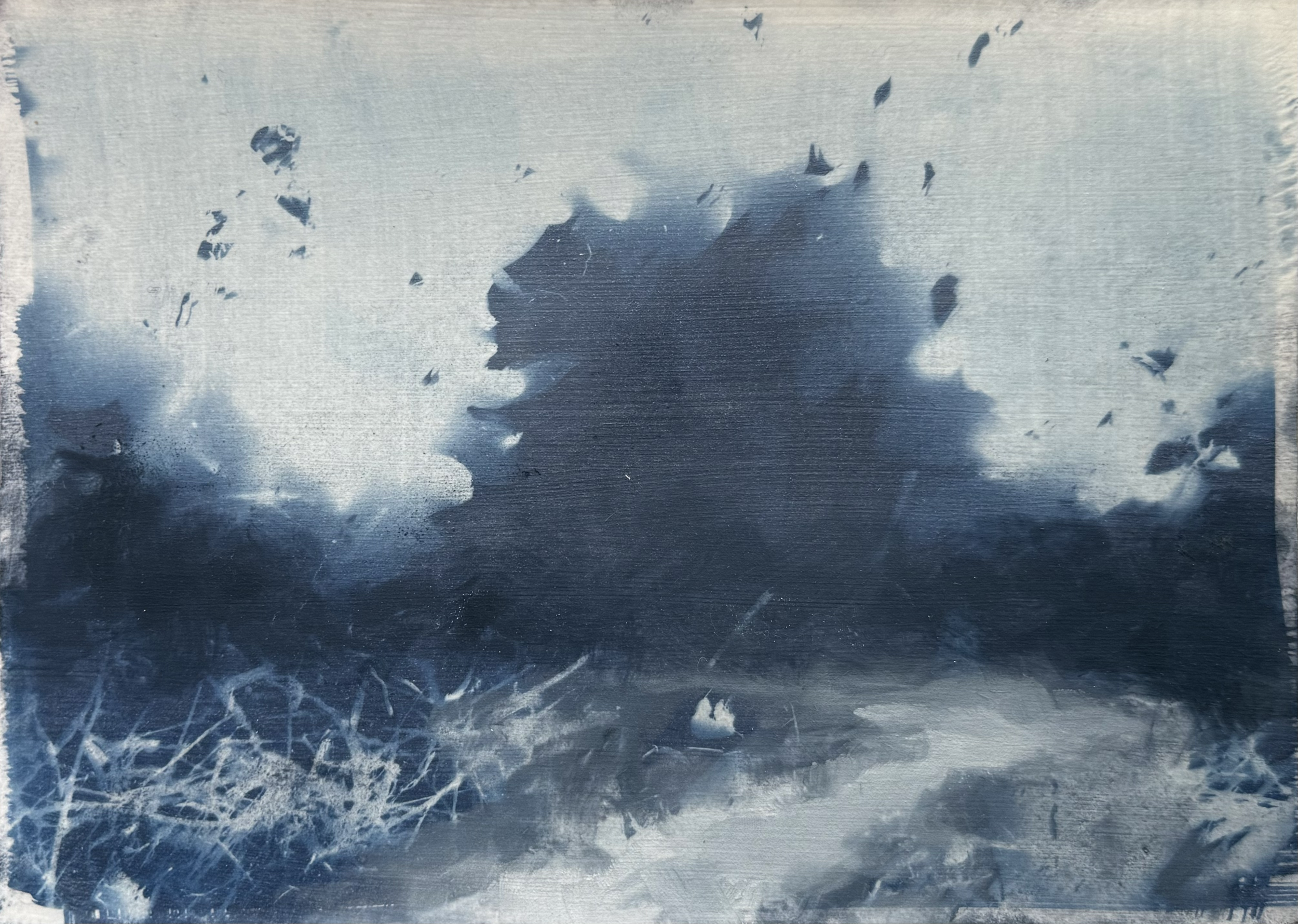 Cyanoscape, 5in x 8in, Cyanotype Layered with Oil on Paper