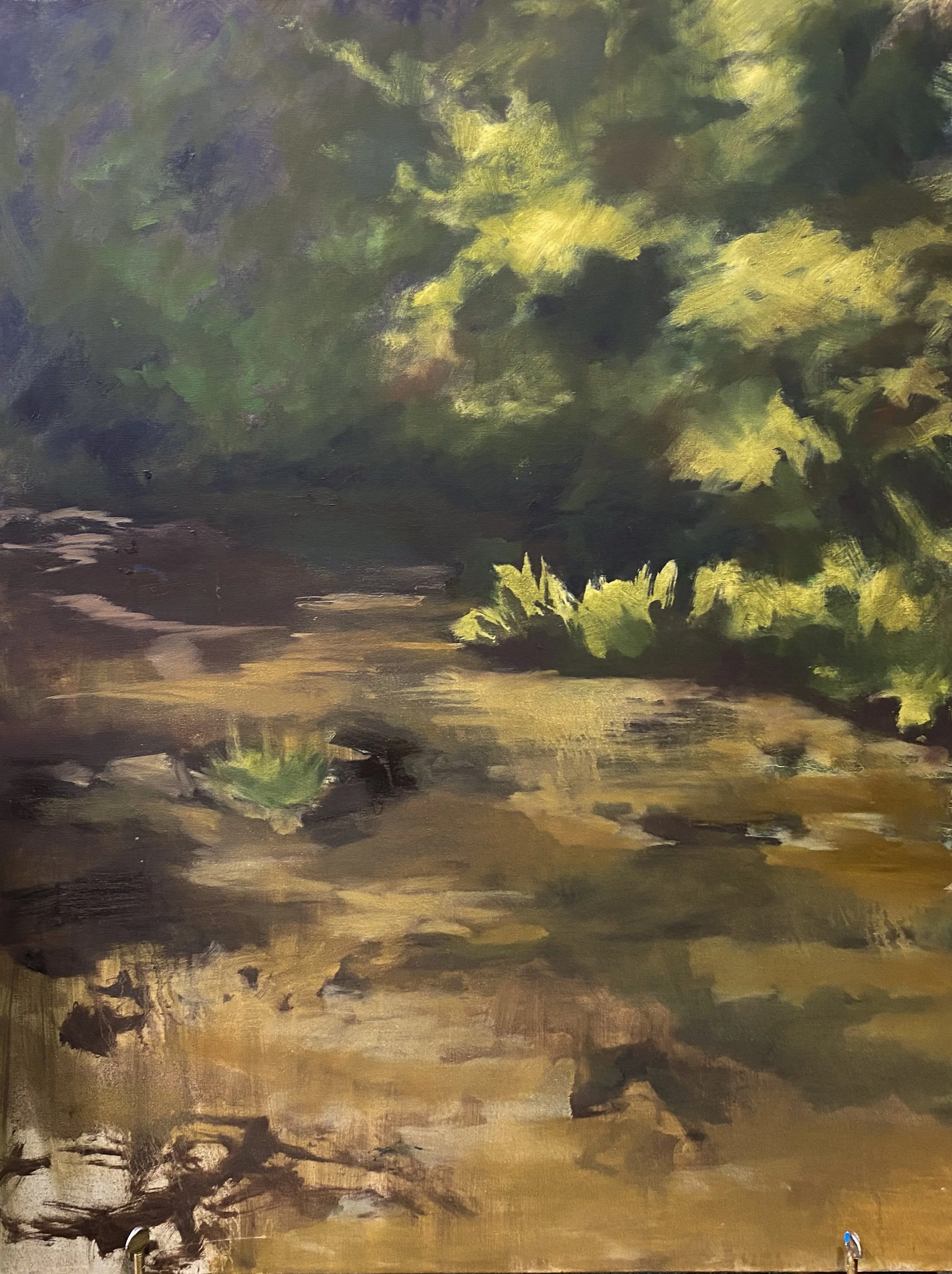 Fishbowl, 30in x 40in, Oil on Canvas