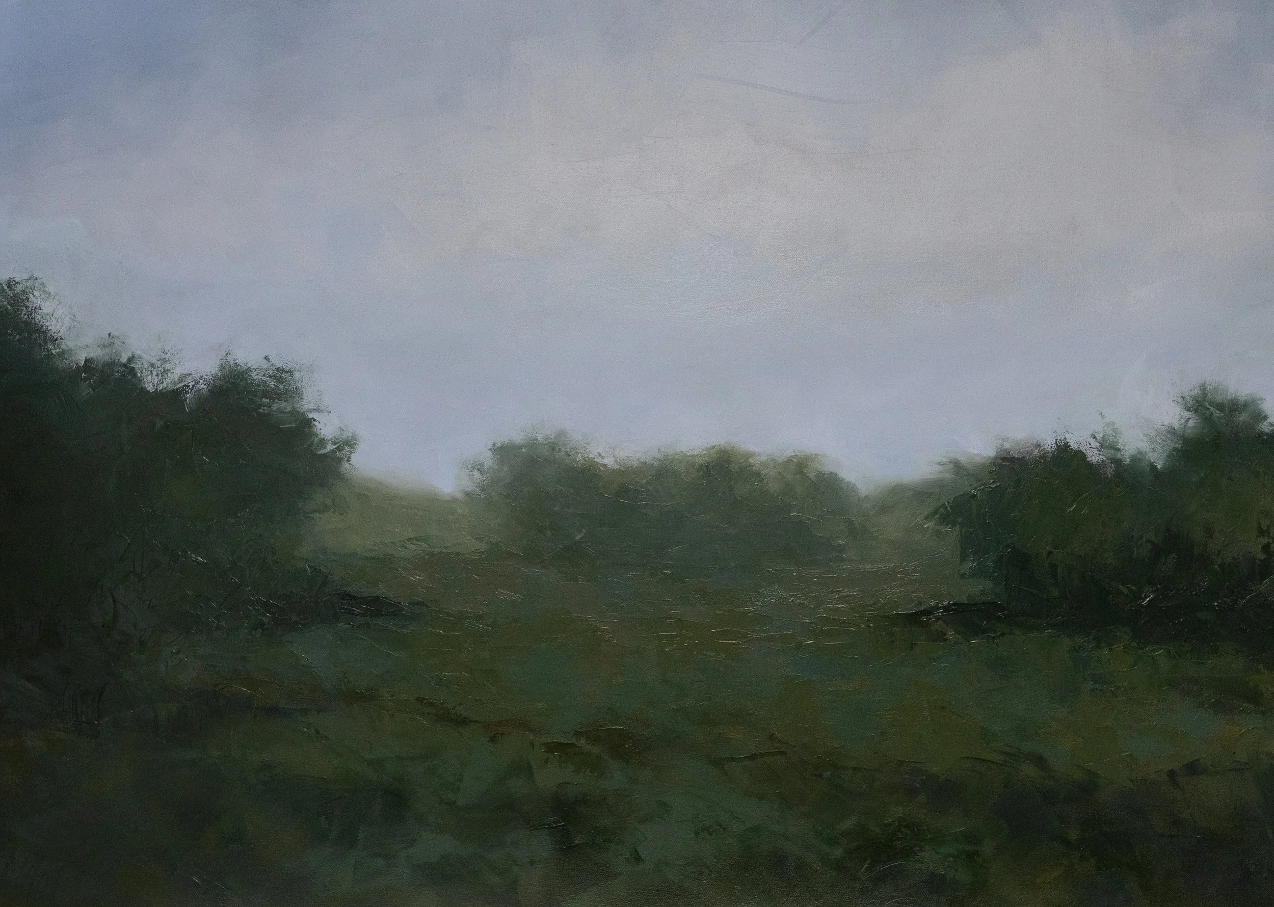 
“Cowfield” 45in x 30in, Oil on Canvas
