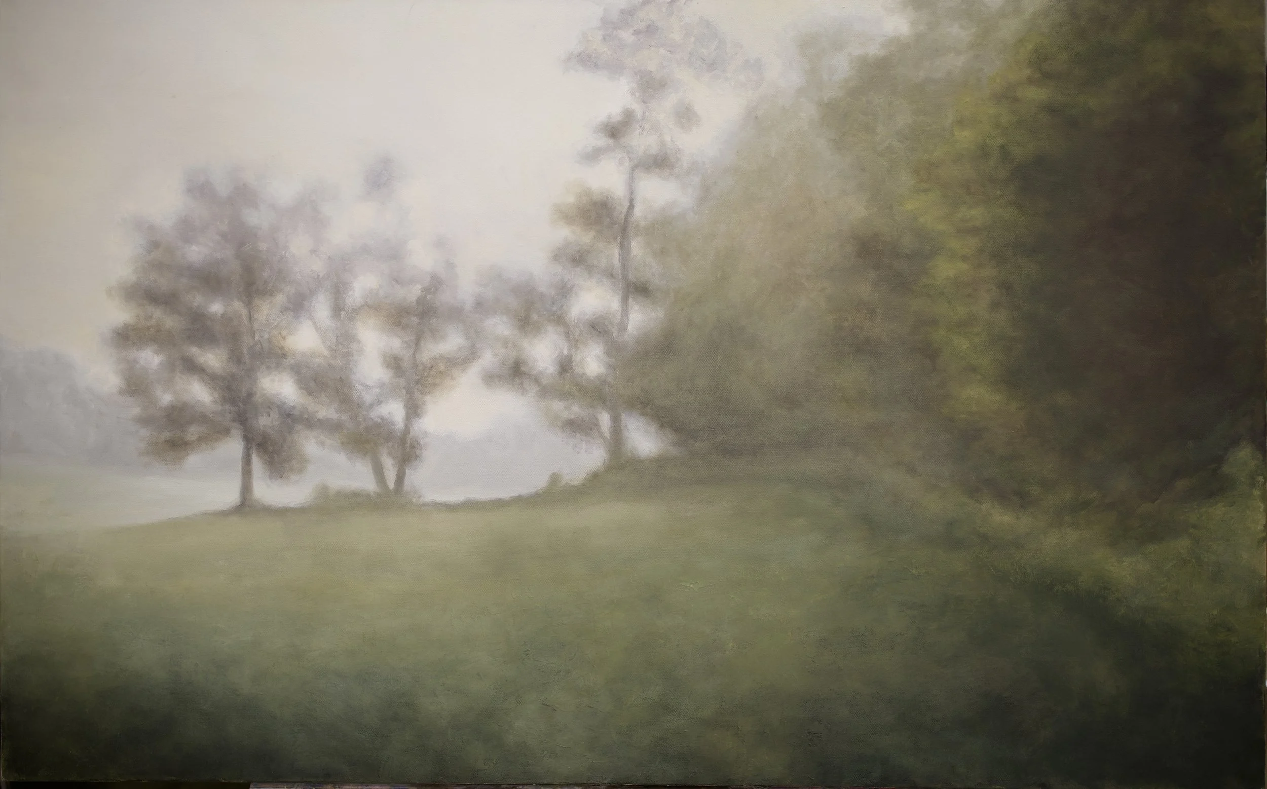 Treeline, 30in x 48in, Oil on Canvas, 2024 - $875