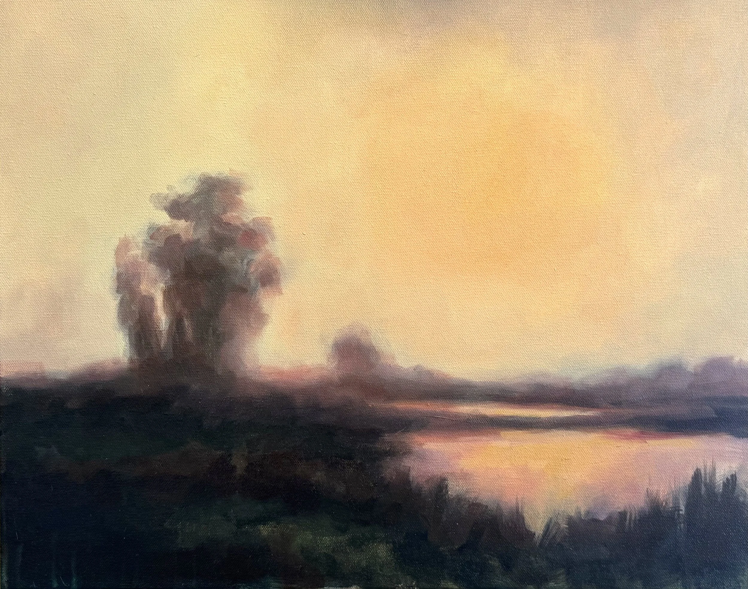 Marsh Light, 16in x 20in, Oil on Canvas, Spring 2026 - $250