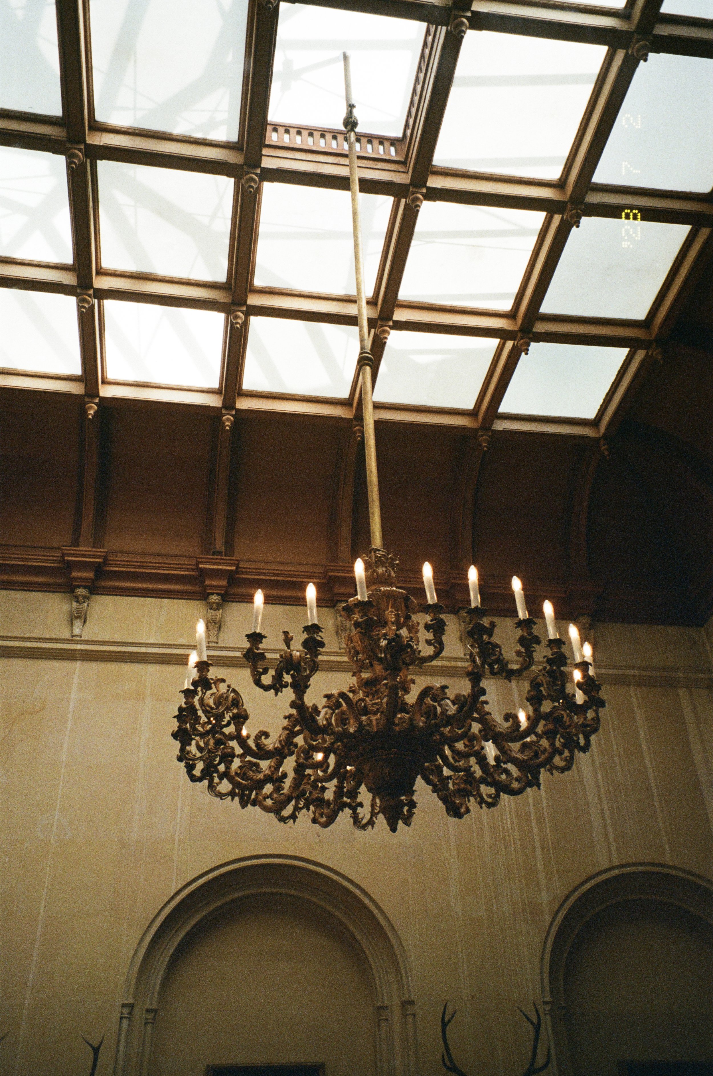 51006833.jpg
