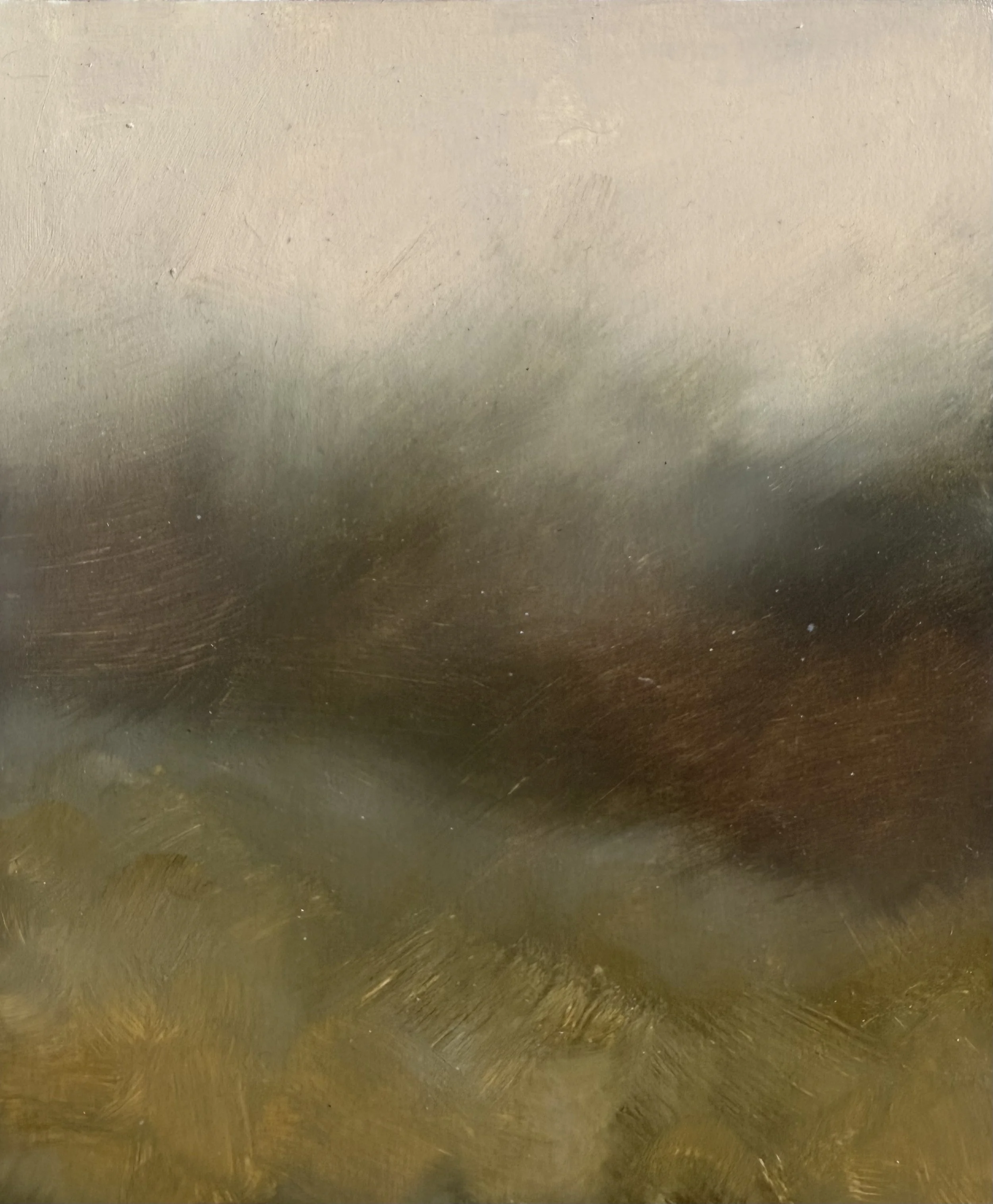 Scruffle Study #3, 6in x 7in, Oil on Paper
