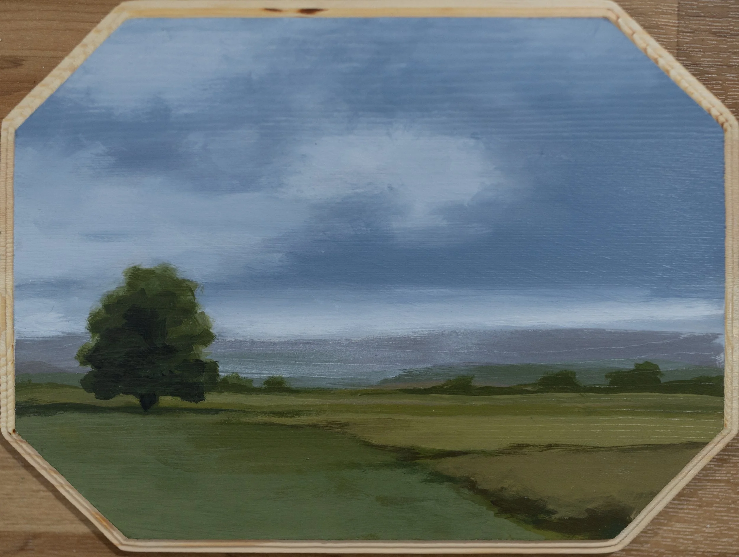 Plains Panel, 9in x 12in, Acrylic on Panel @ Grazing Ground in Elk Creek, VA - $200