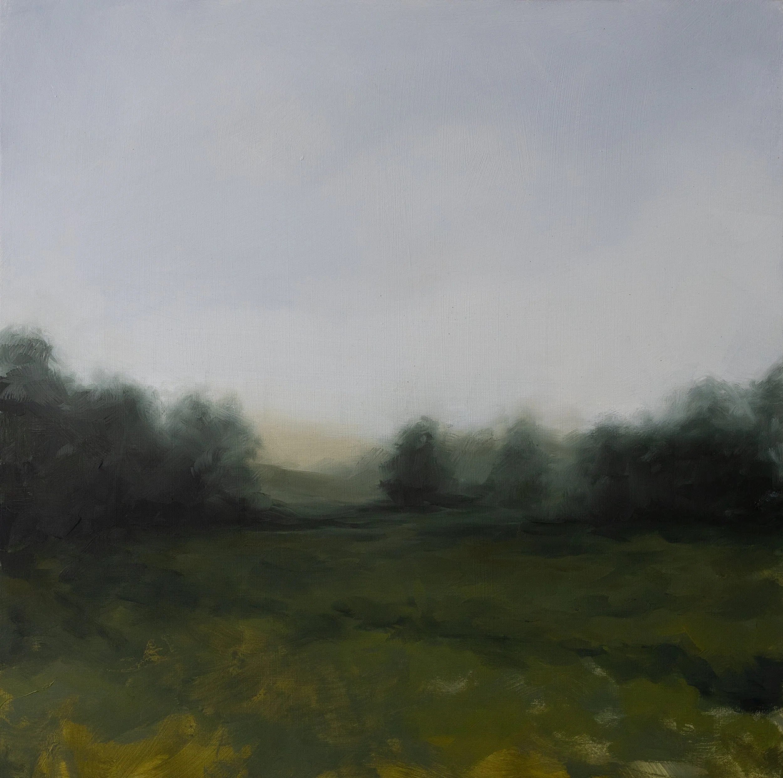 “Streamline” 16in x 16in, Oil on Panel