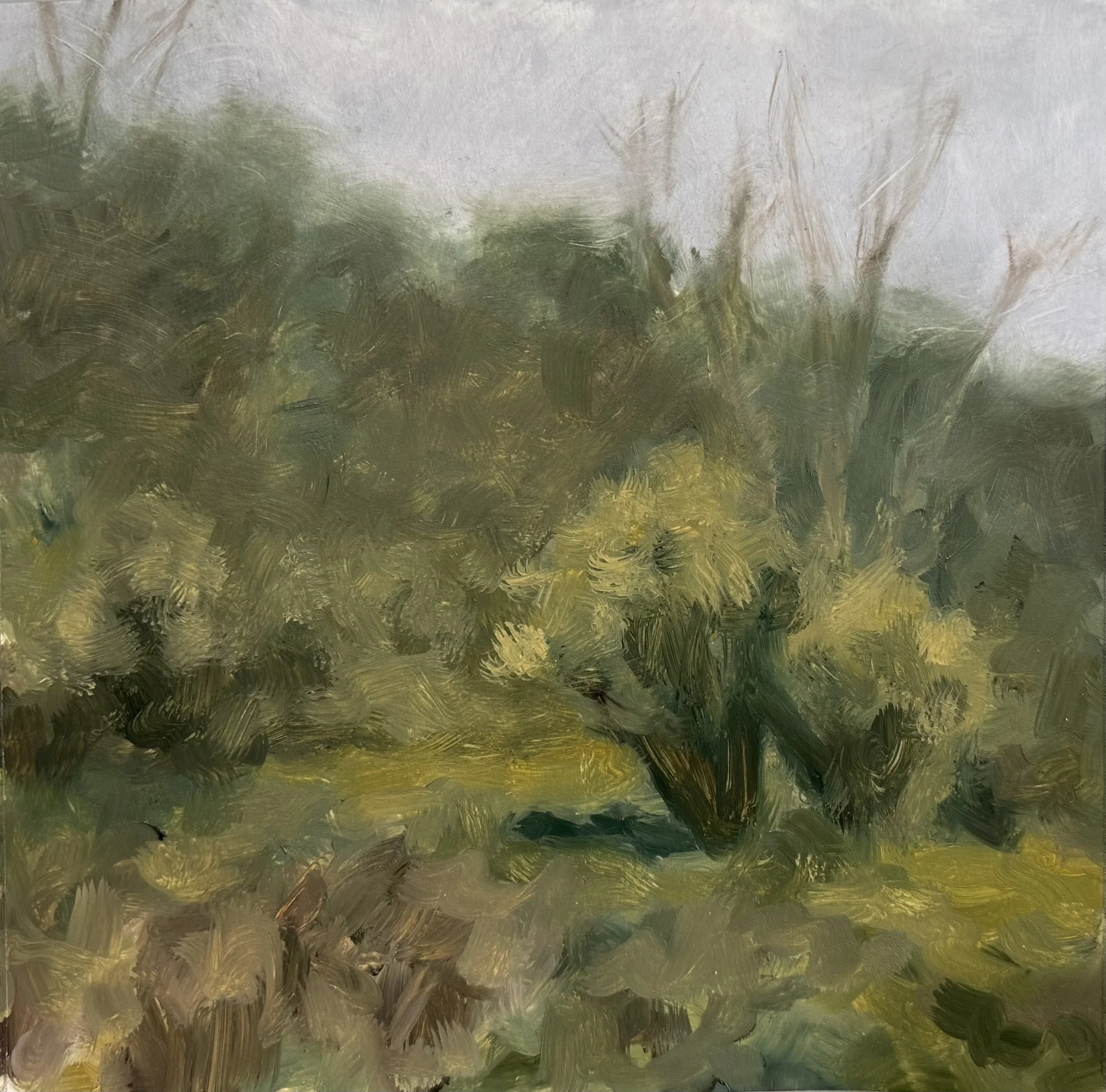 Sunburn Study #2, 9in x 8in, Oil on Paper