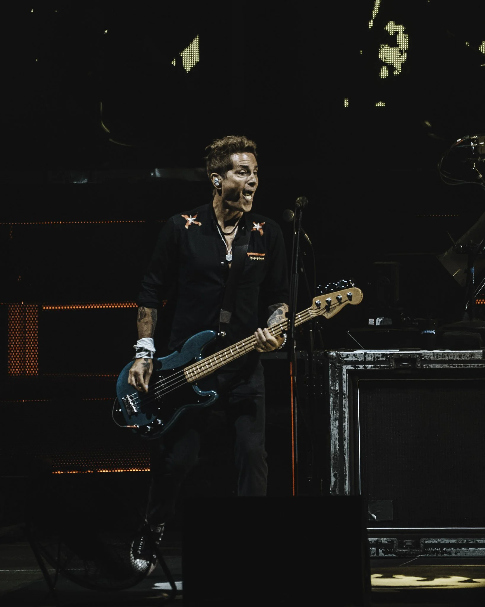Offspring-VA-08.jpg