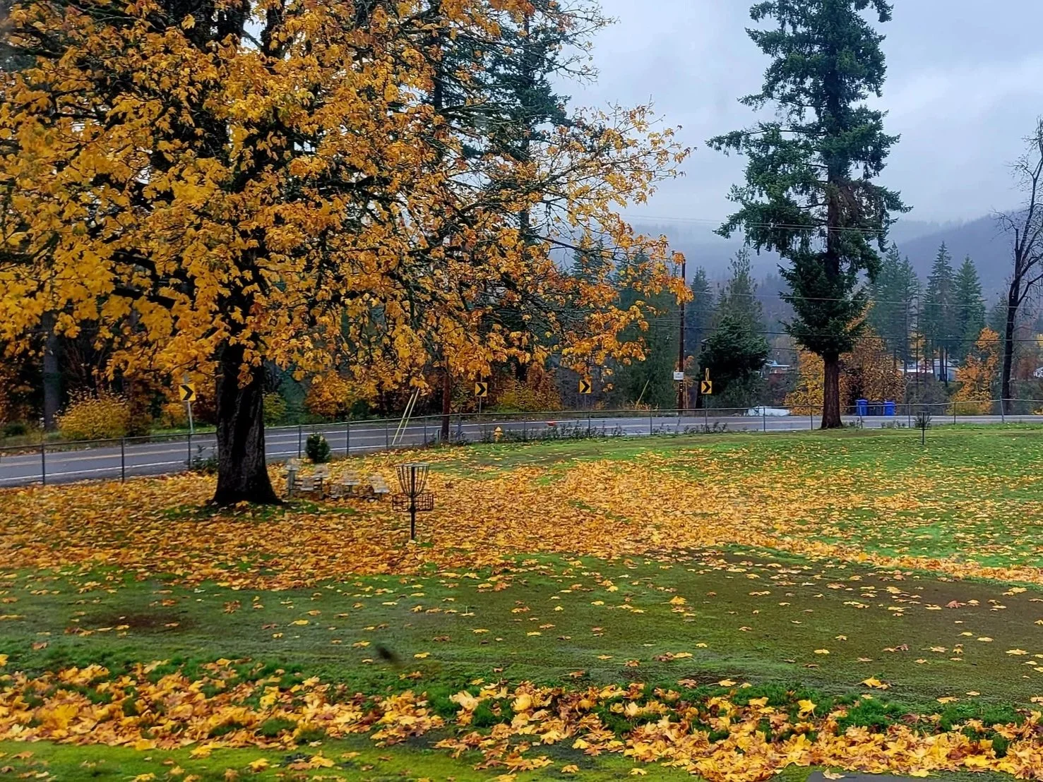 Thanksgiving Camper Retreat