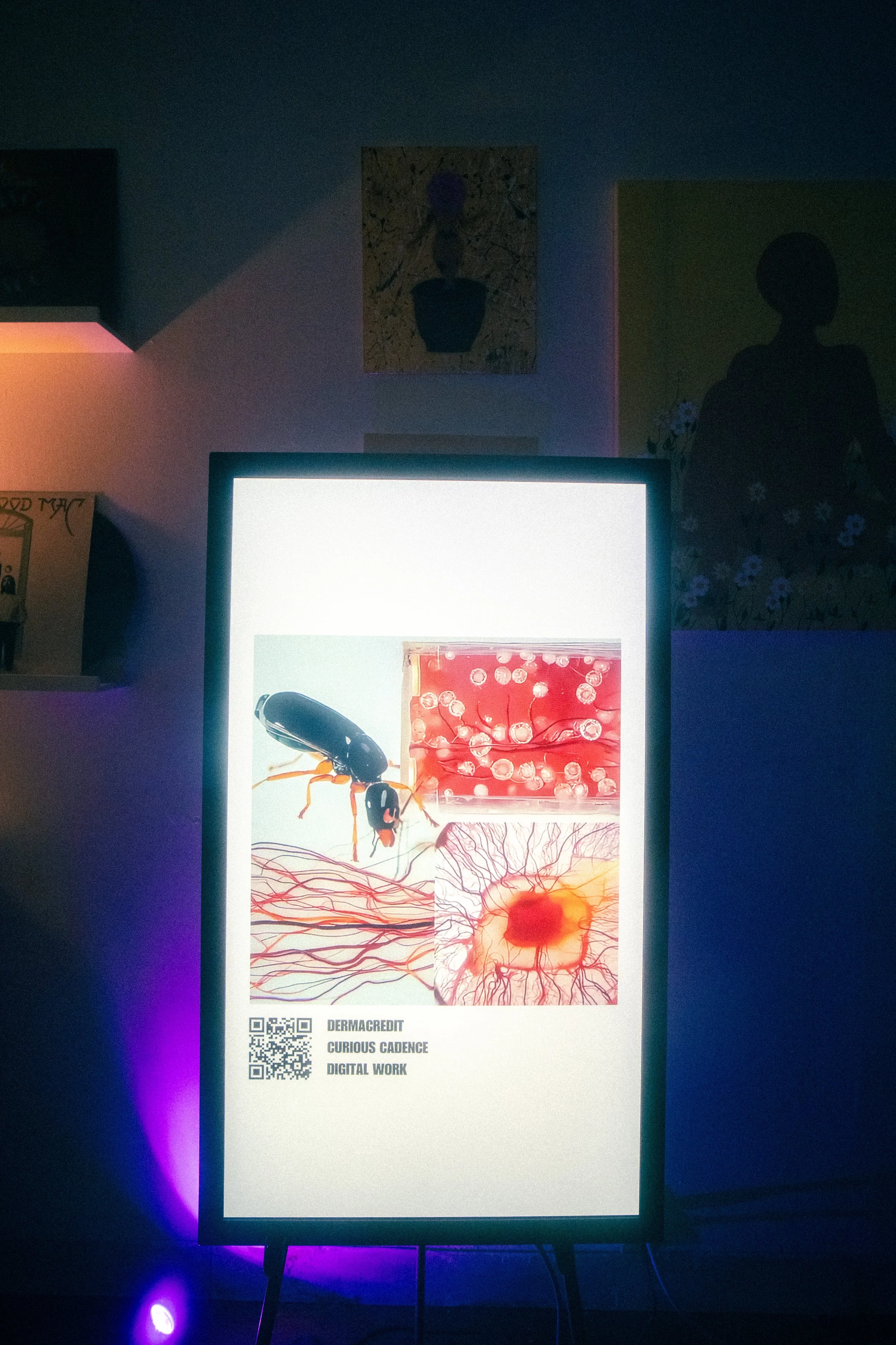 TNR Part ll Final-159.jpg