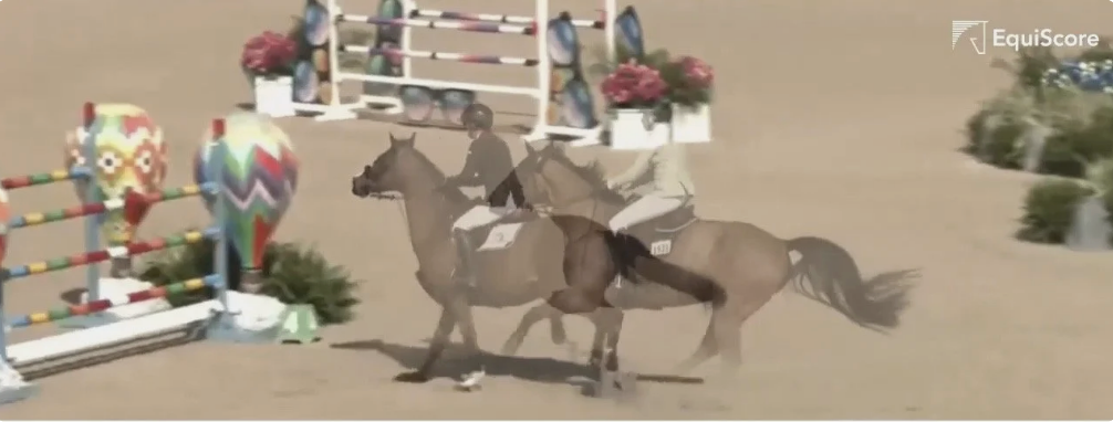 EquiScore App: Best Practices