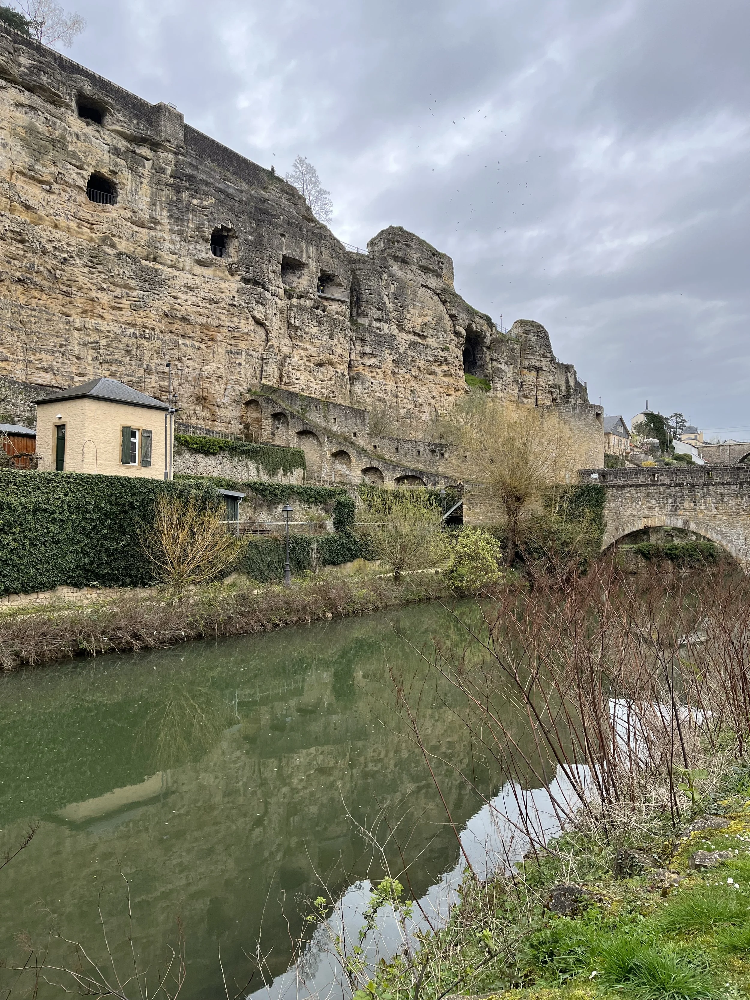 IMG_3364.jpeg